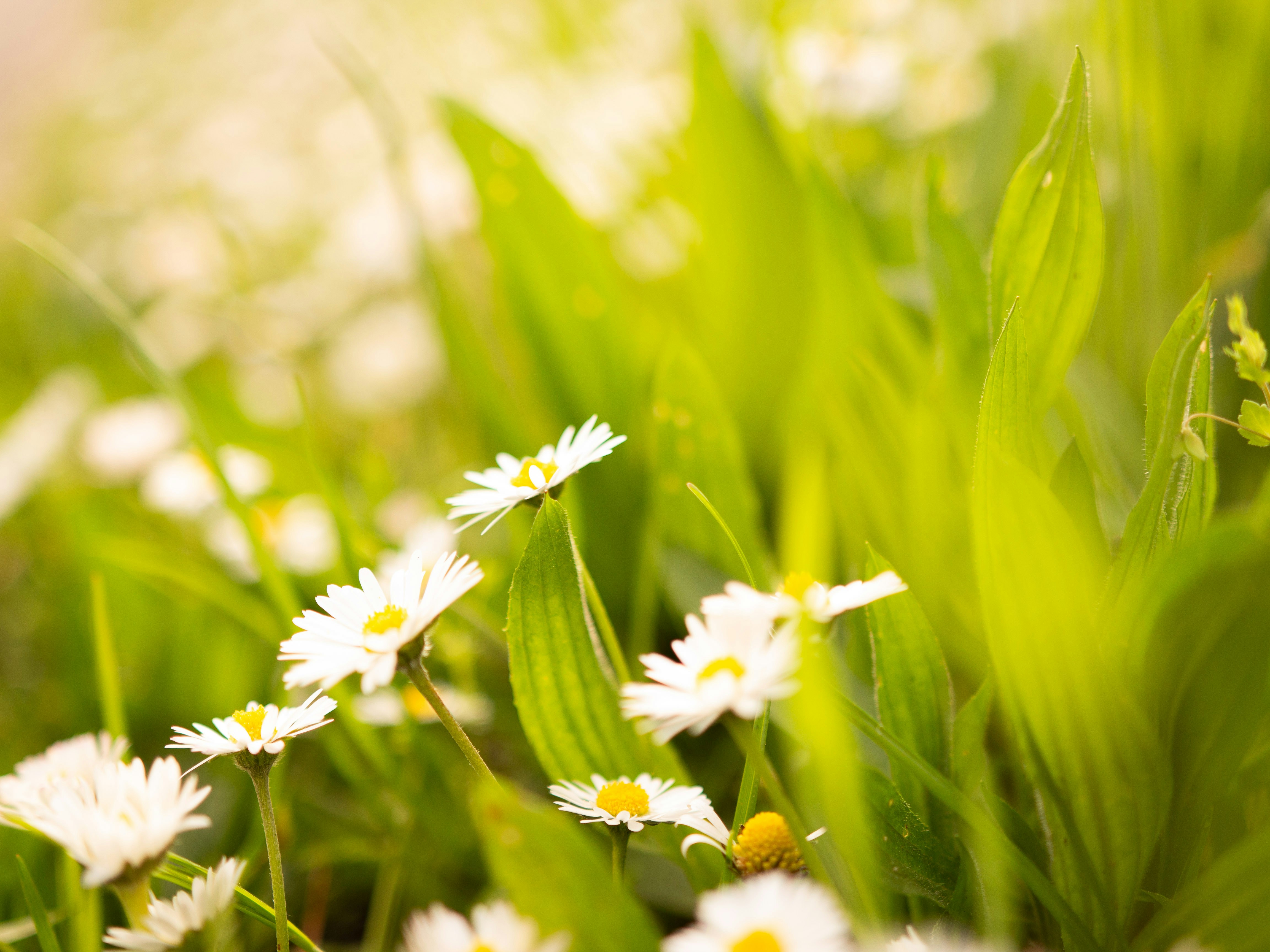 Photo by in_myframez