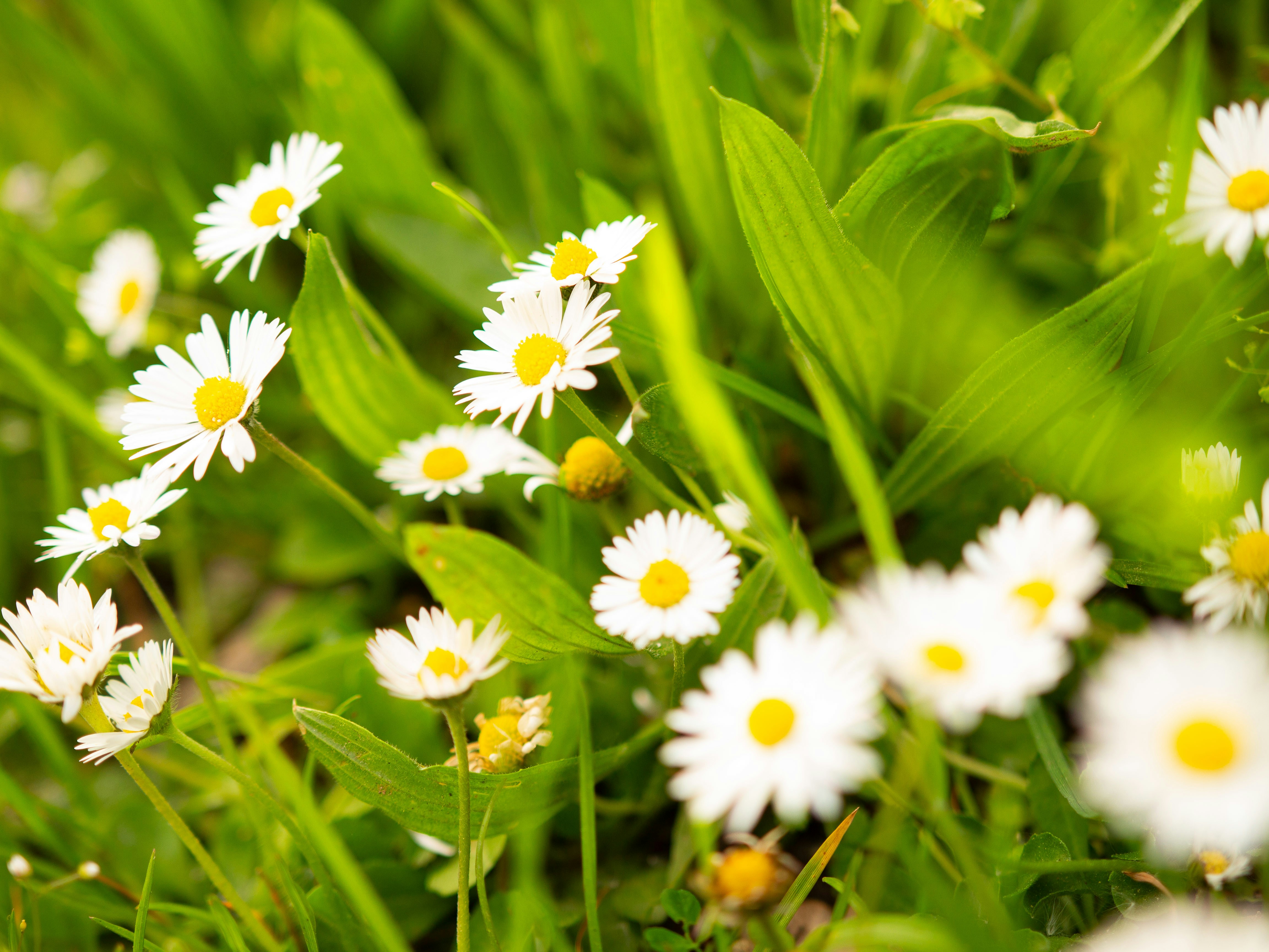 Photo by in_myframez