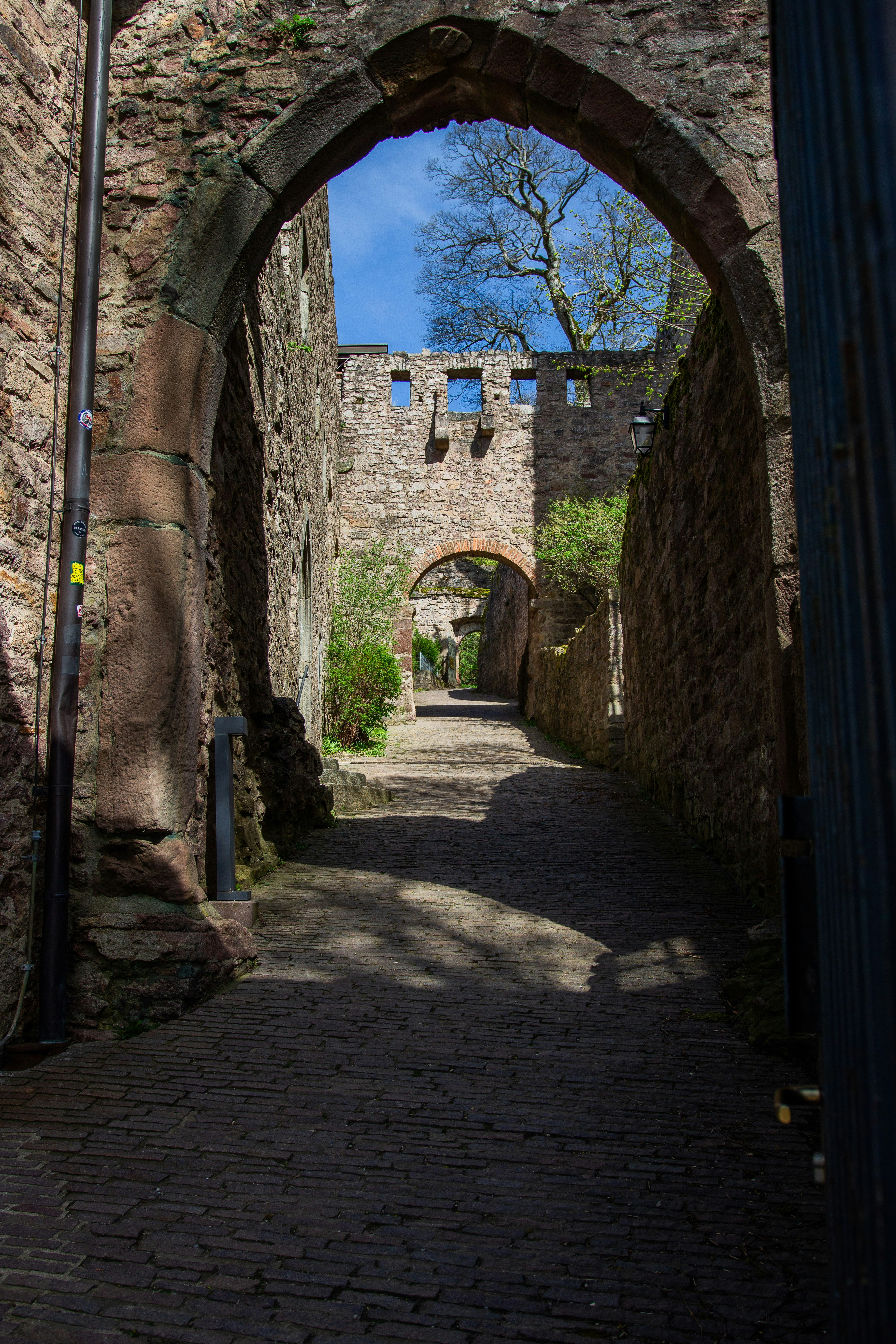 Photo by in_myframez