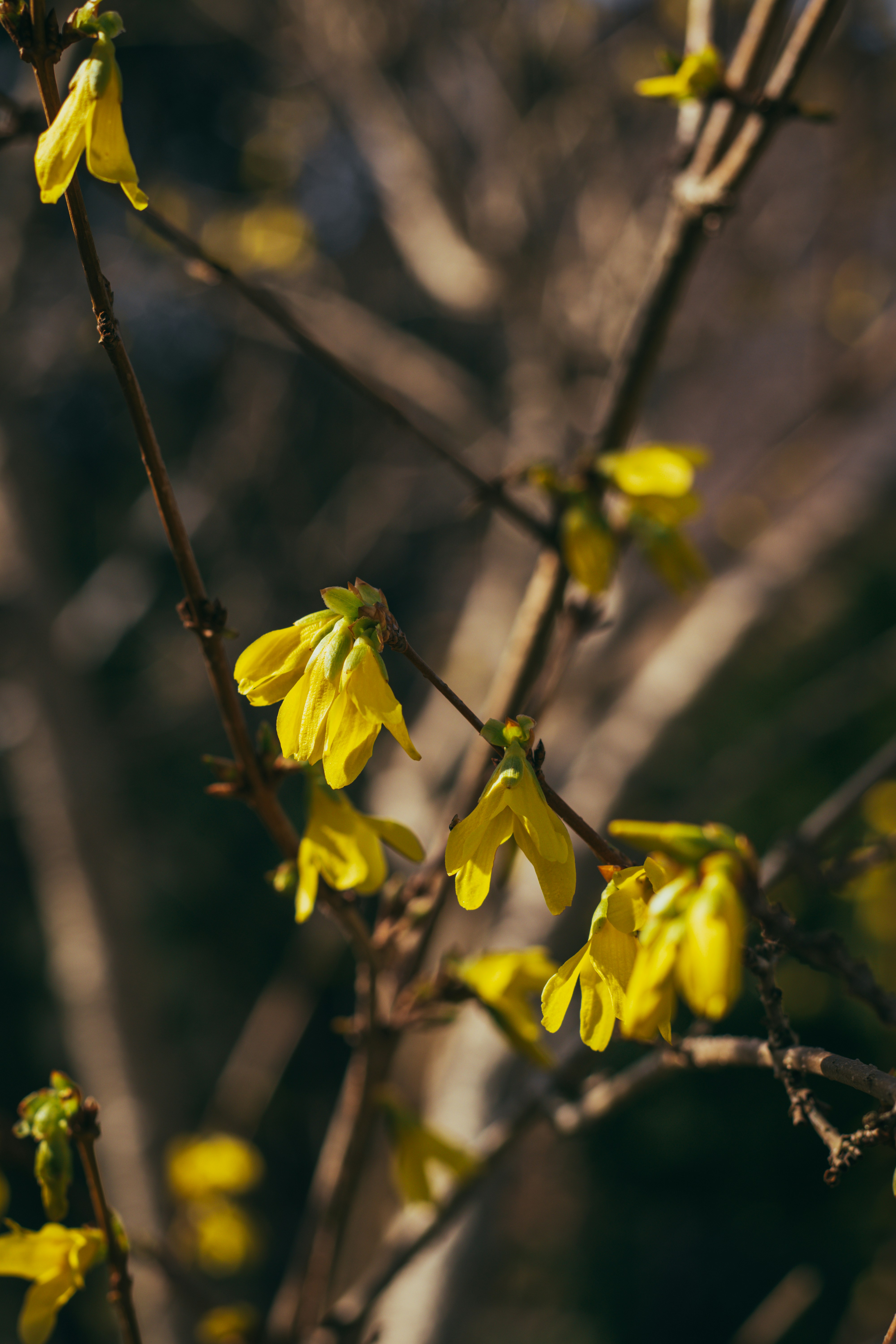 Photo by metcat