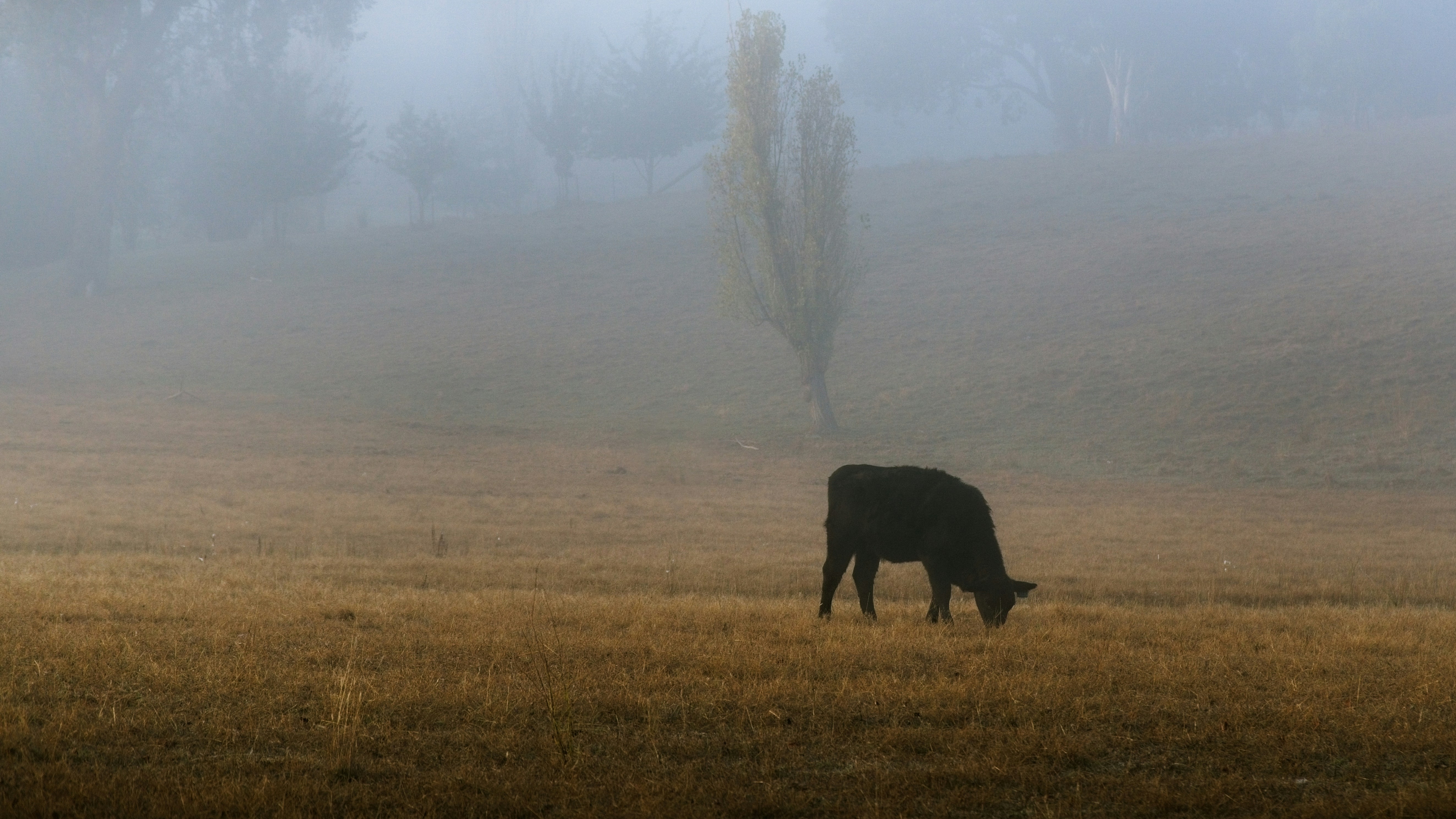 Photo by arthurhinton