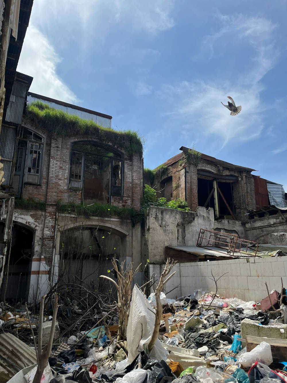 a bird flying over a pile of trash in front of a building