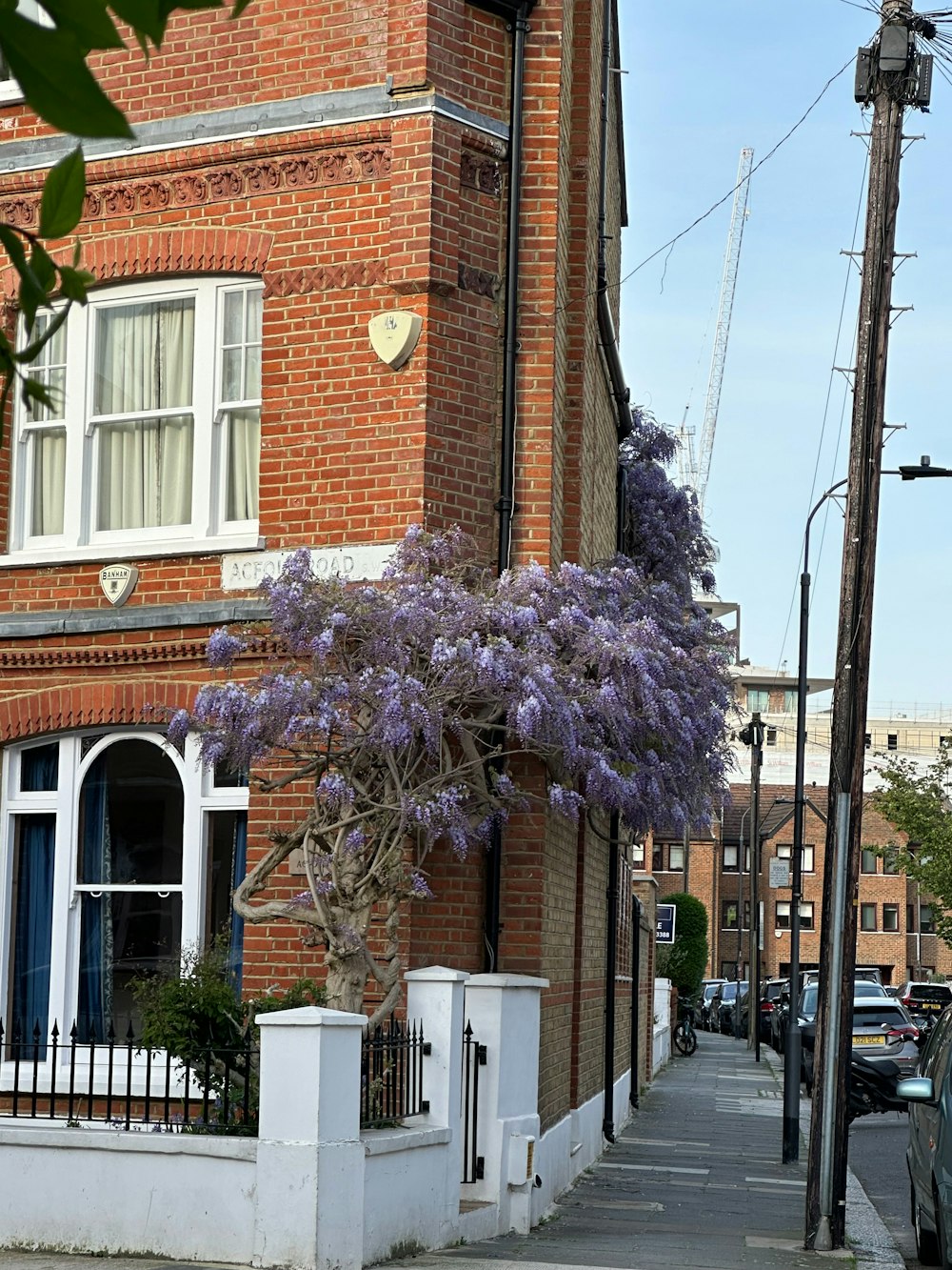 煉瓦造りの建物の前に紫色の花を咲かせる木