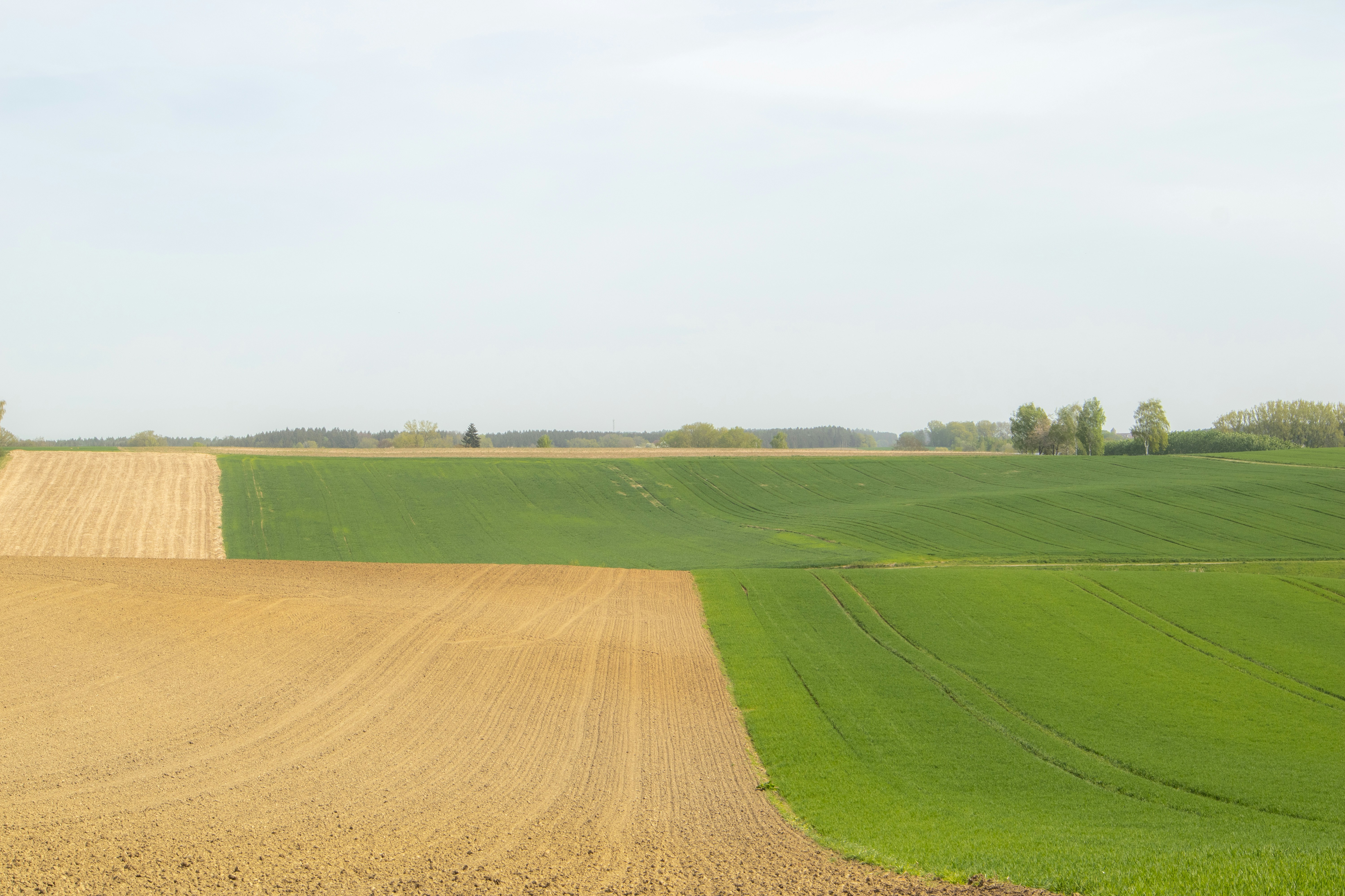 Portable Capture & Preservation: A 2026 Field Workflow for Freelance Photographers — Cameras, SSDs, and Capture SDKs