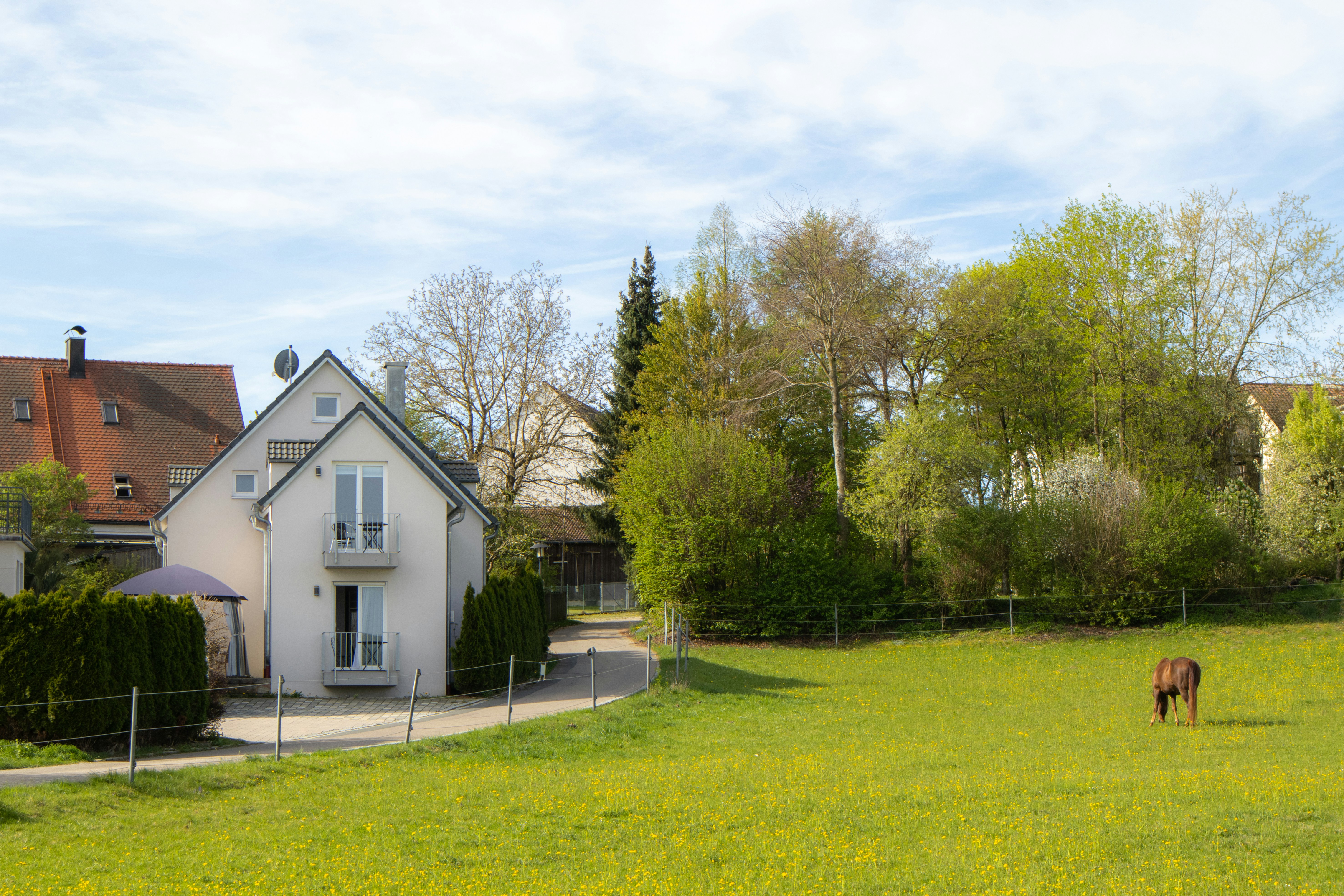 Photo by marko_lengyel