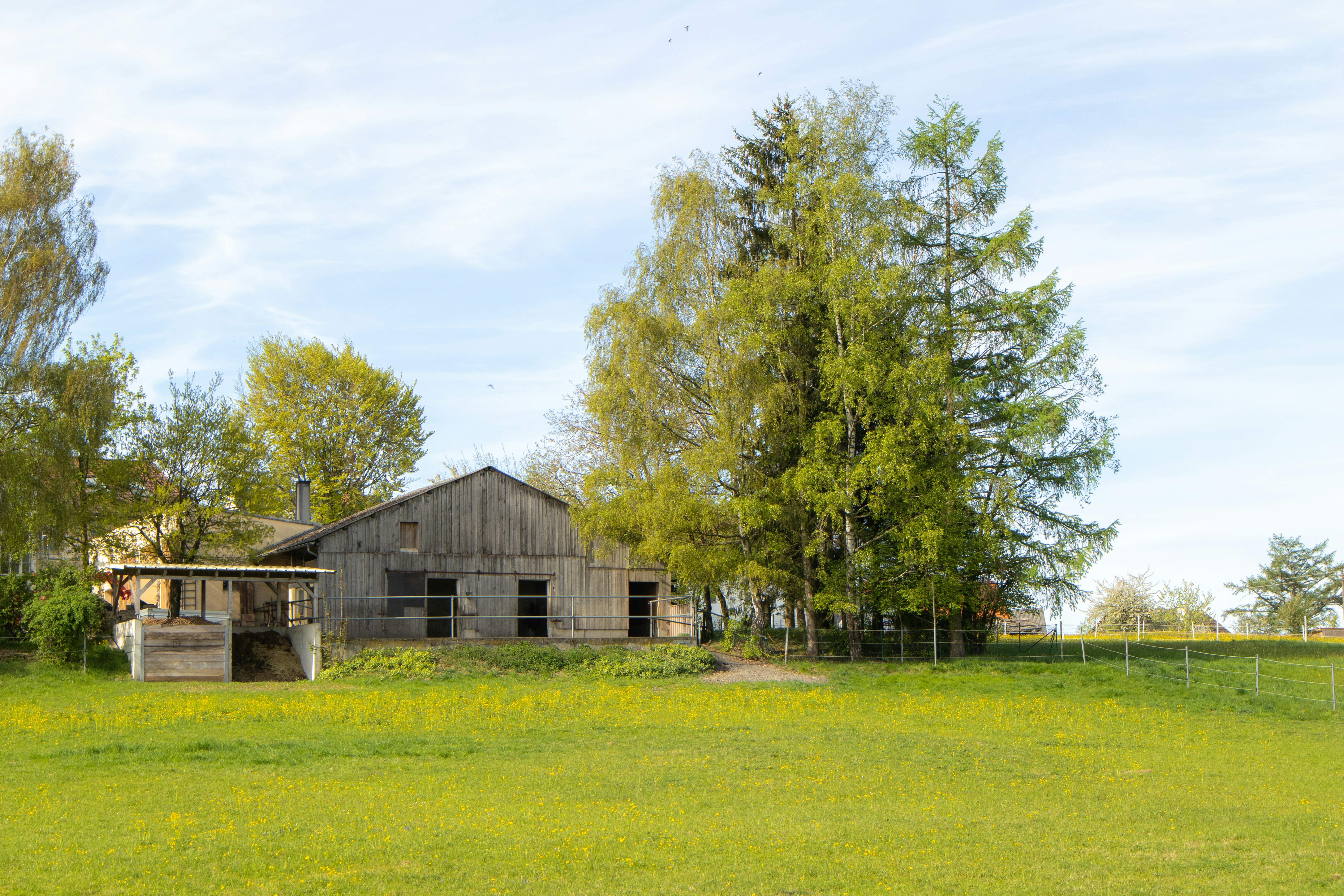 Photo by marko_lengyel