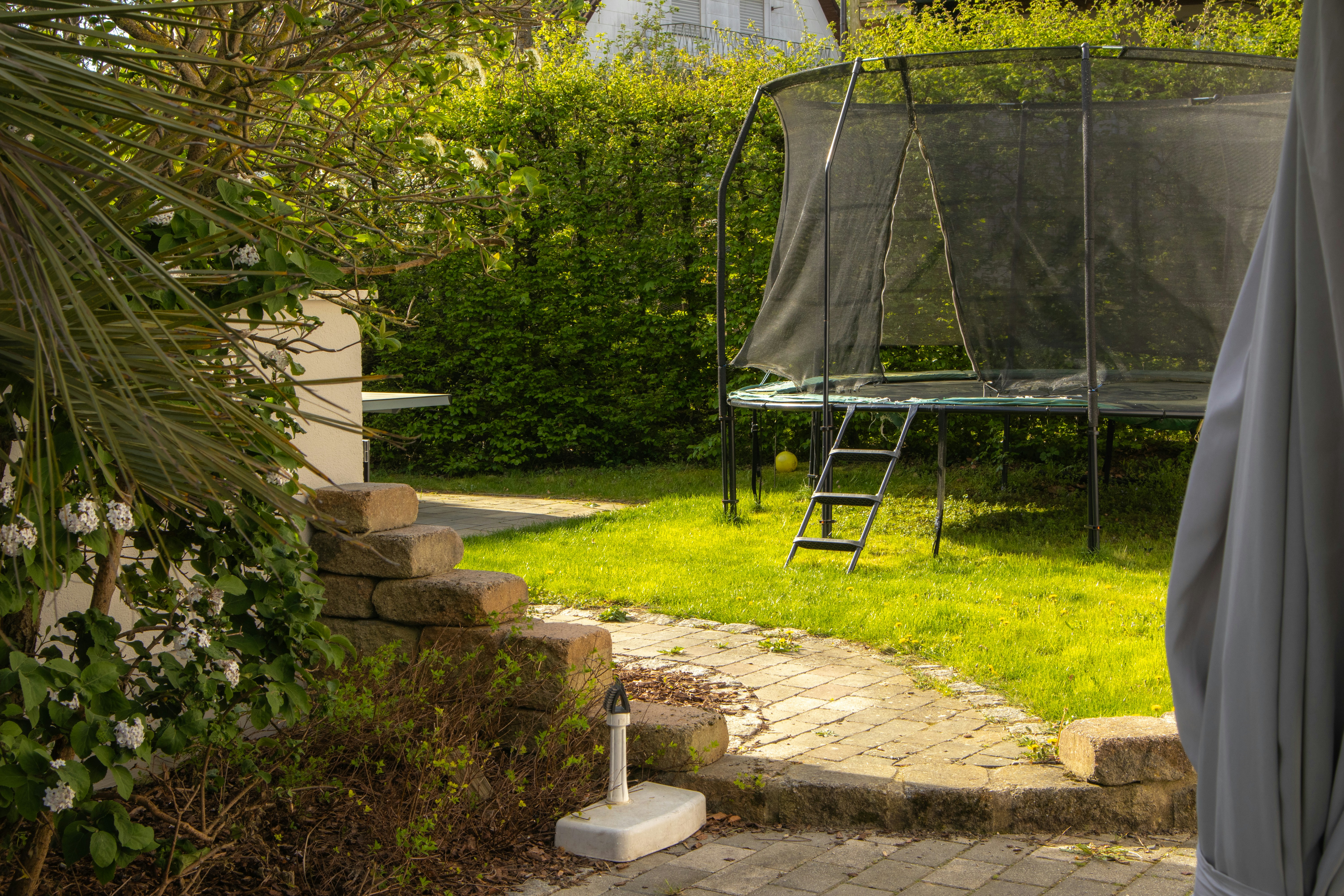 Photo by marko_lengyel