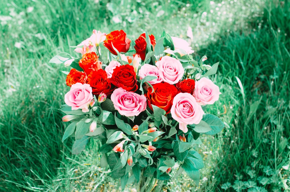 a bouquet of red and pink roses sitting in the grass