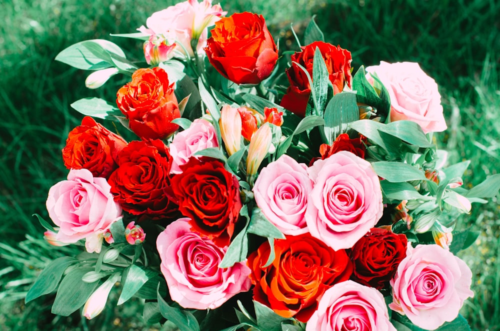 a bouquet of red and pink roses in a field