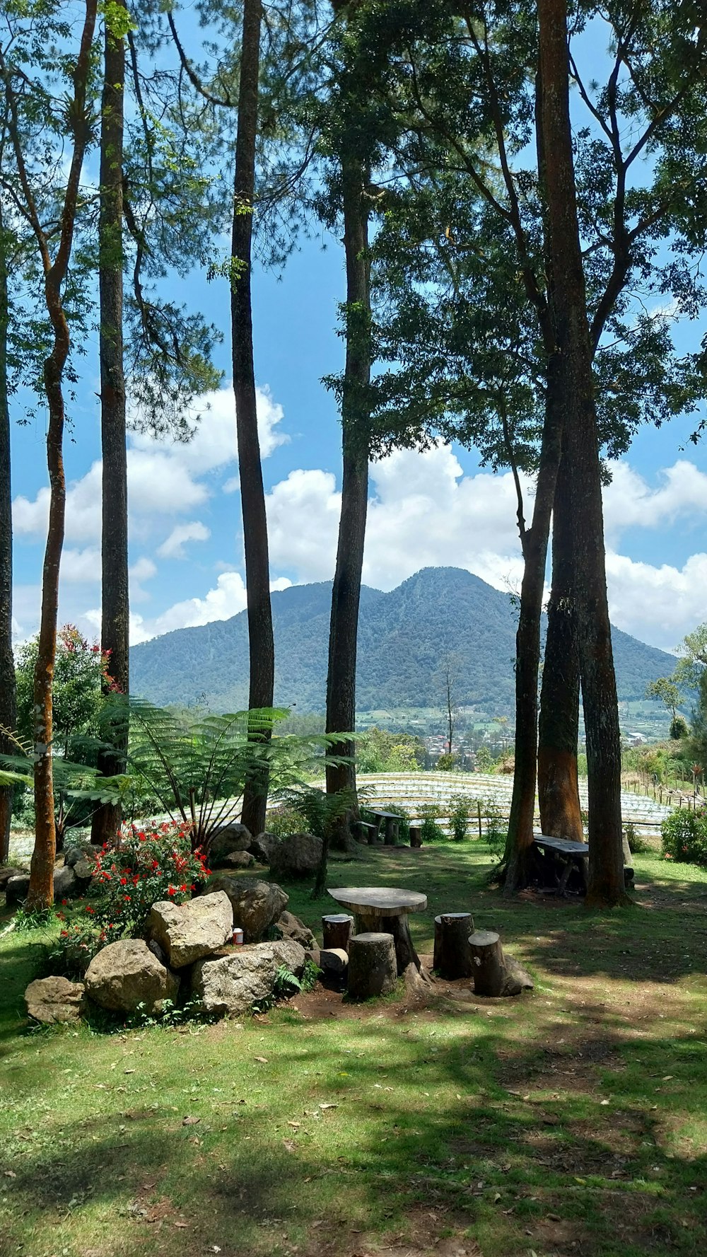 Ein Park mit einer Bank und Bäumen und einem Berg im Hintergrund