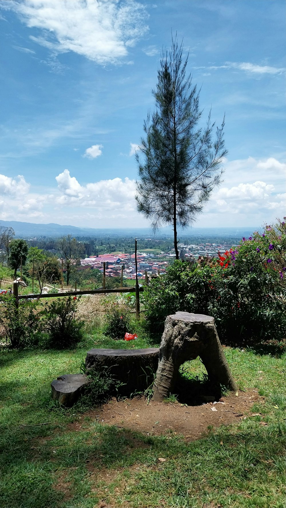 a wooden bench sitting on top of a lush green field