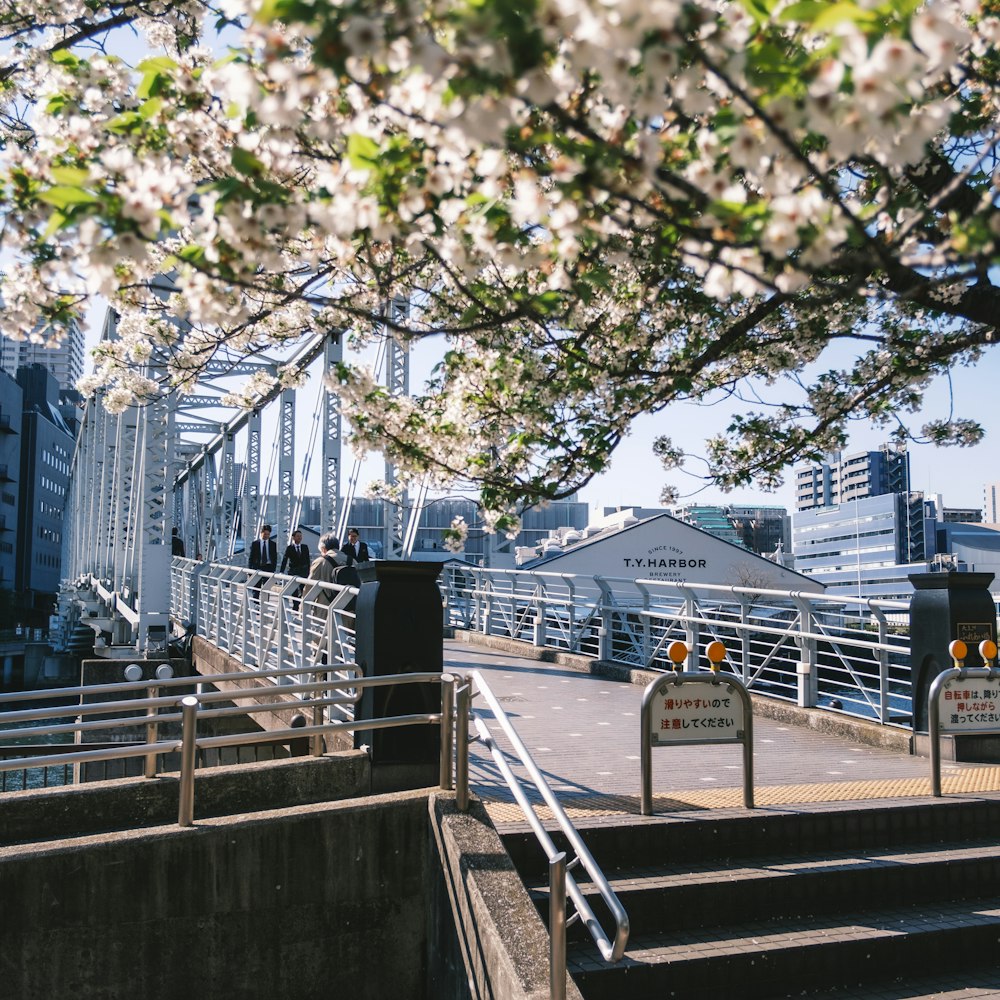 a bunch of stairs that are next to some flowers