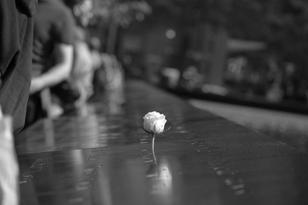 Eine einzelne weiße Rose sitzt auf einem Holztisch