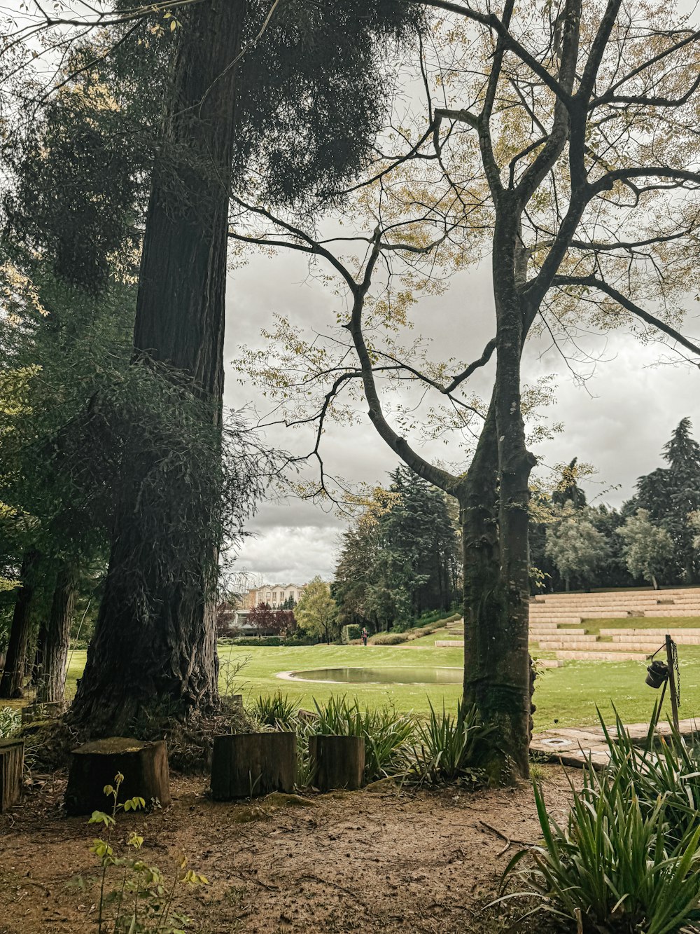 a park with a bench and trees in the foreground