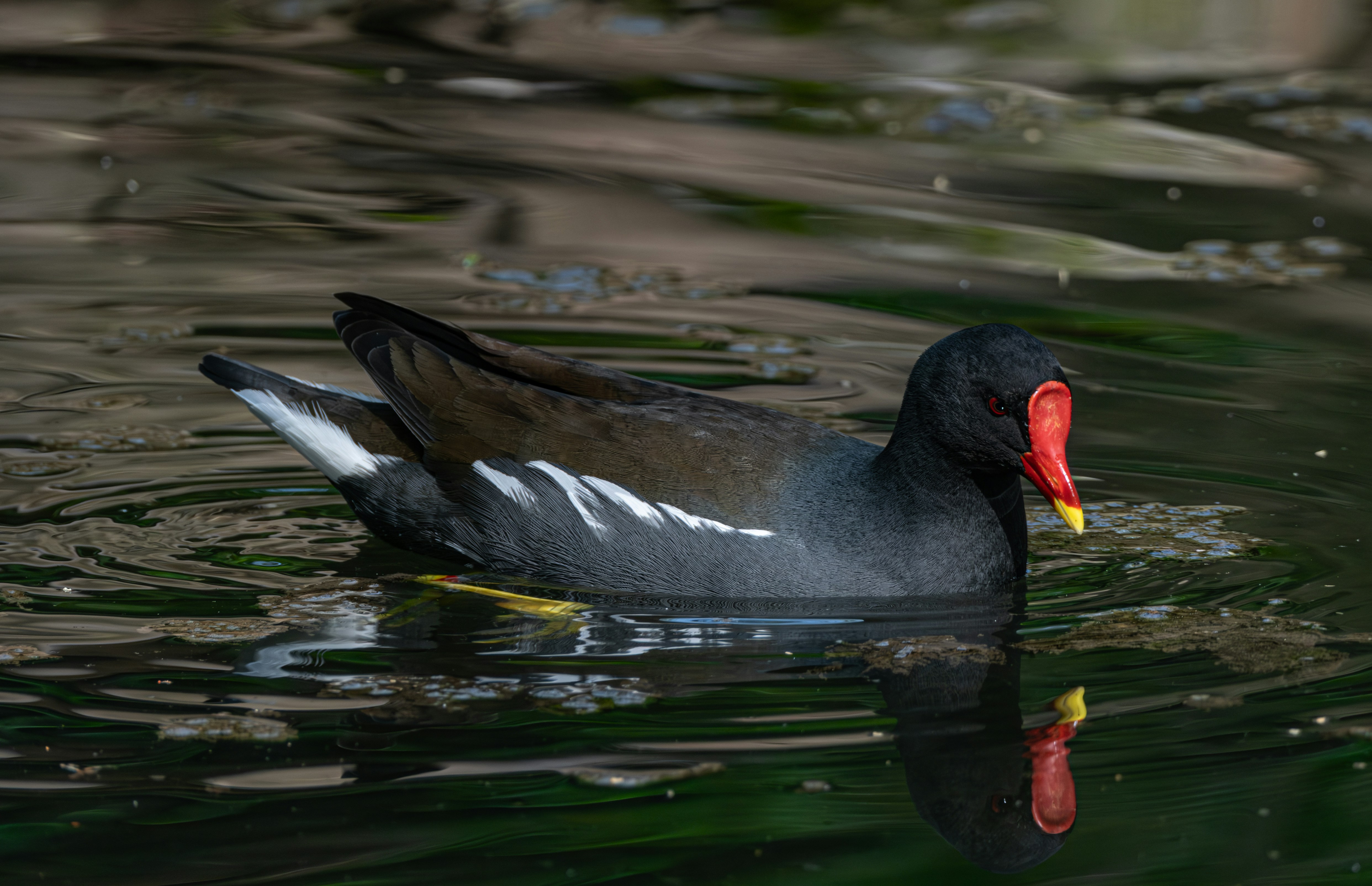 Photo by francesco_ungaro