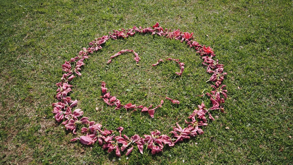 a circle made of pink flowers on a green field