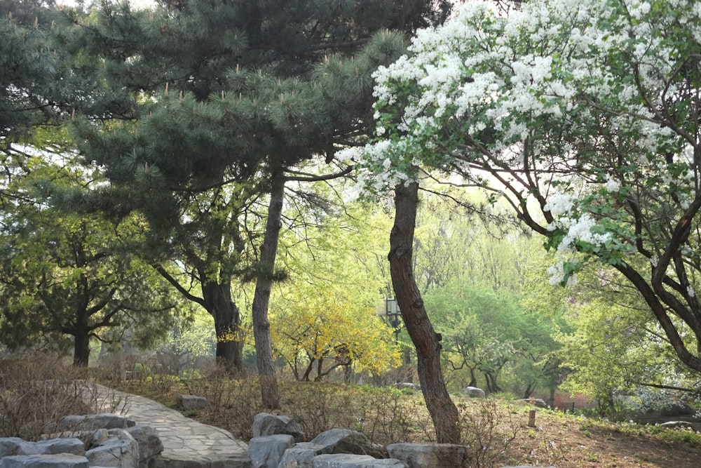 a stone path in the middle of a forest