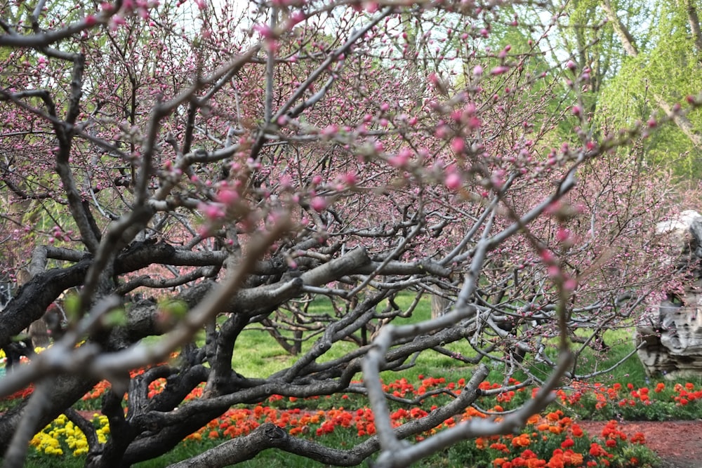 a park with a bench and lots of flowers