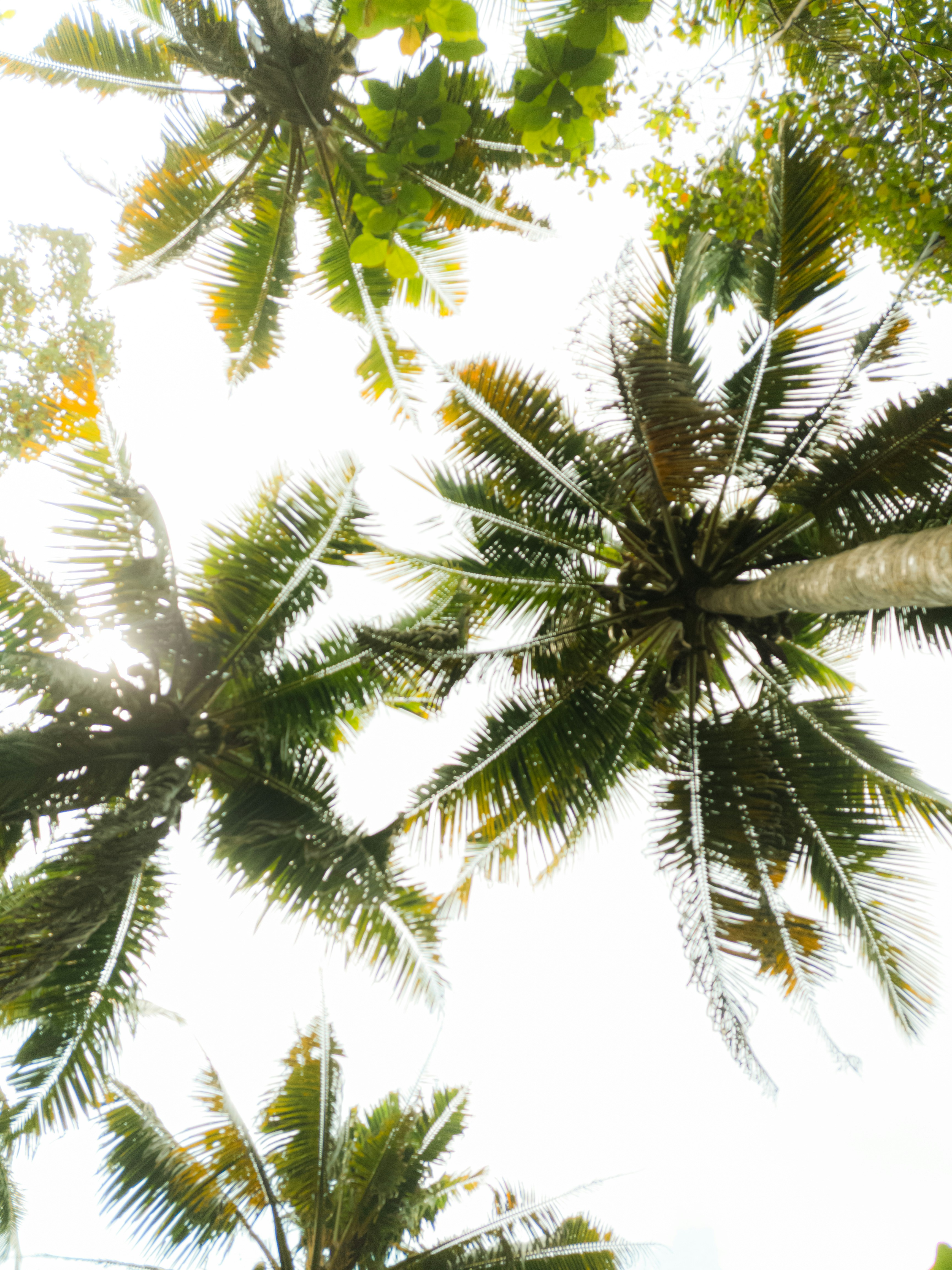 Photo by true_reflection_s