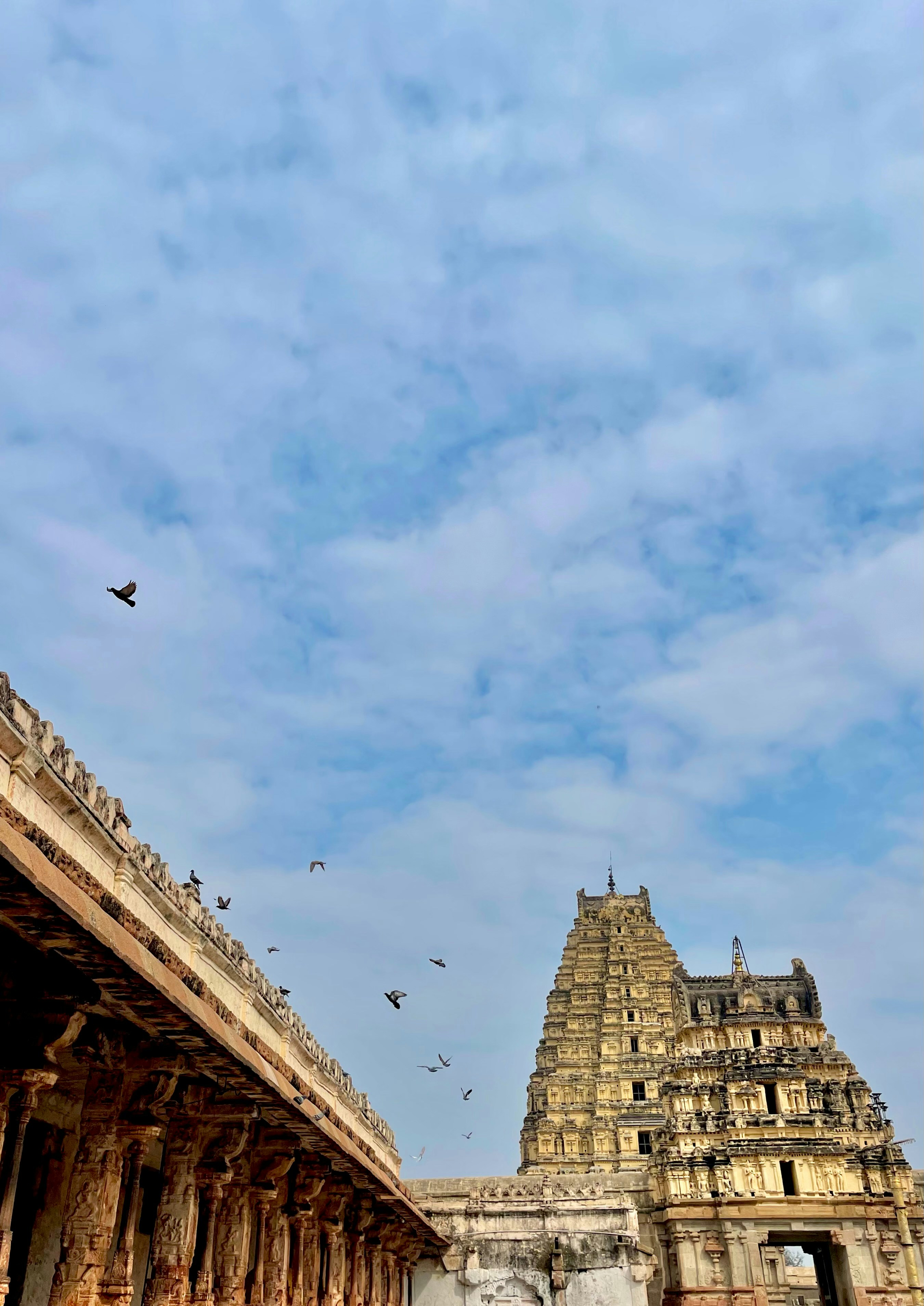 Photo by ankitha_sangankal