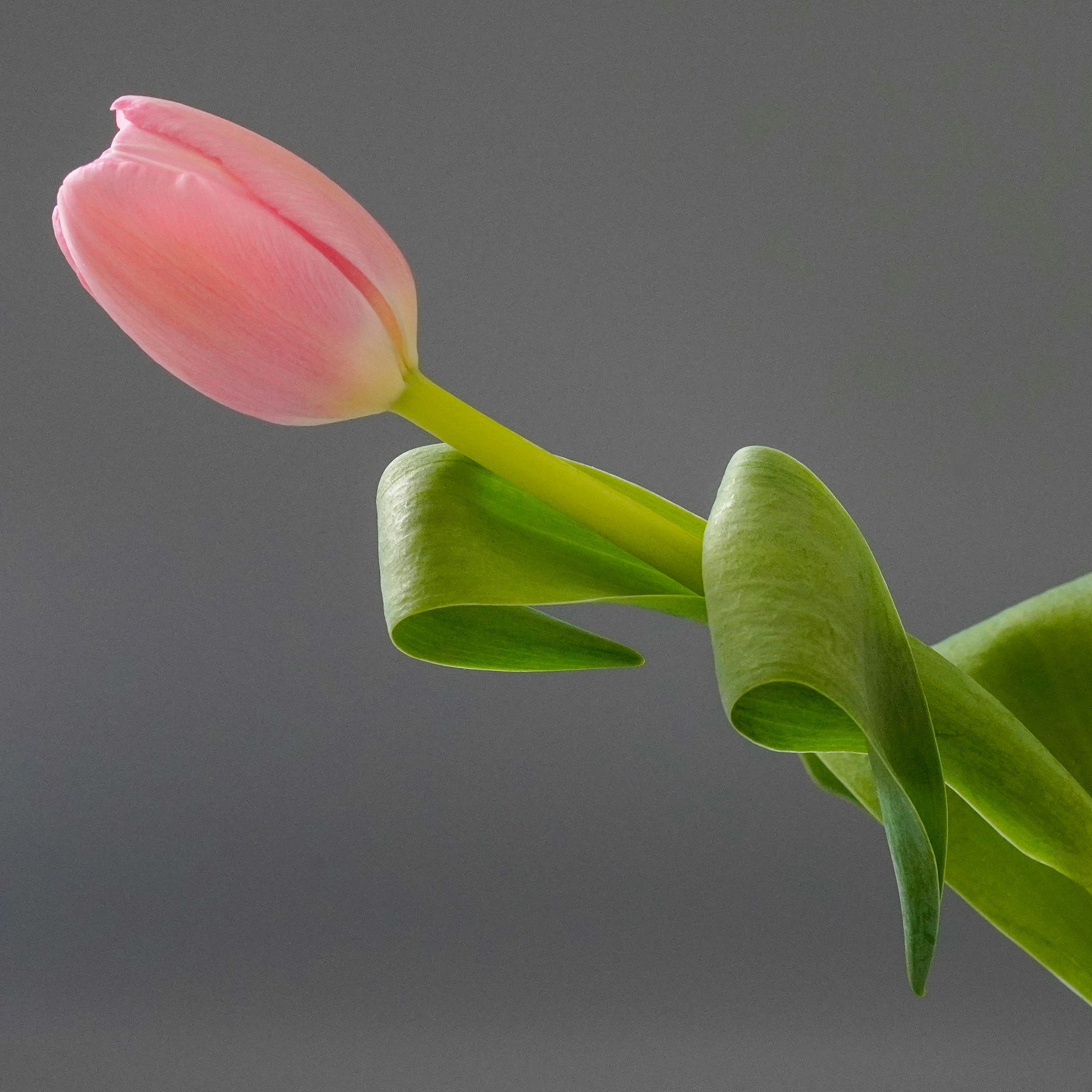 Photo by nataliagasiorowska