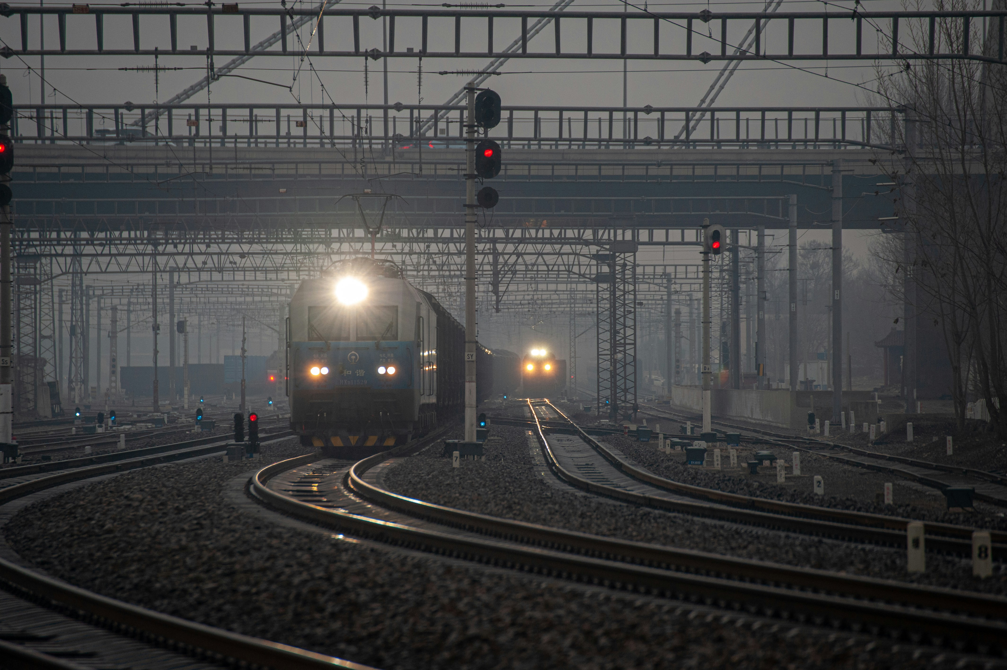 Photo by df11g