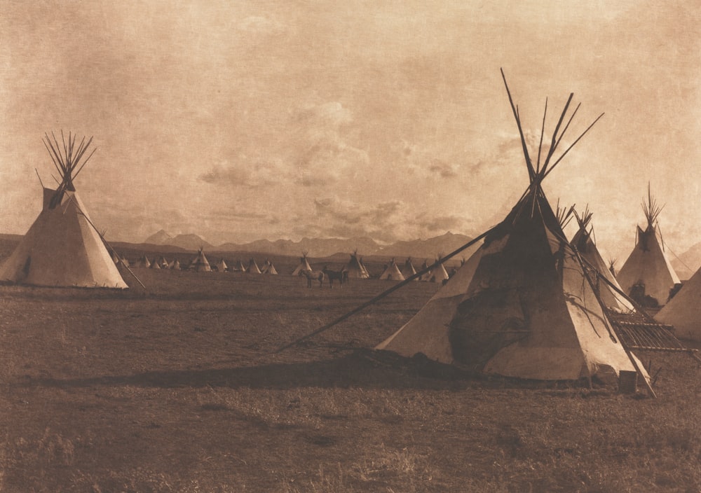 a group of teepees in a field with mountains in the background