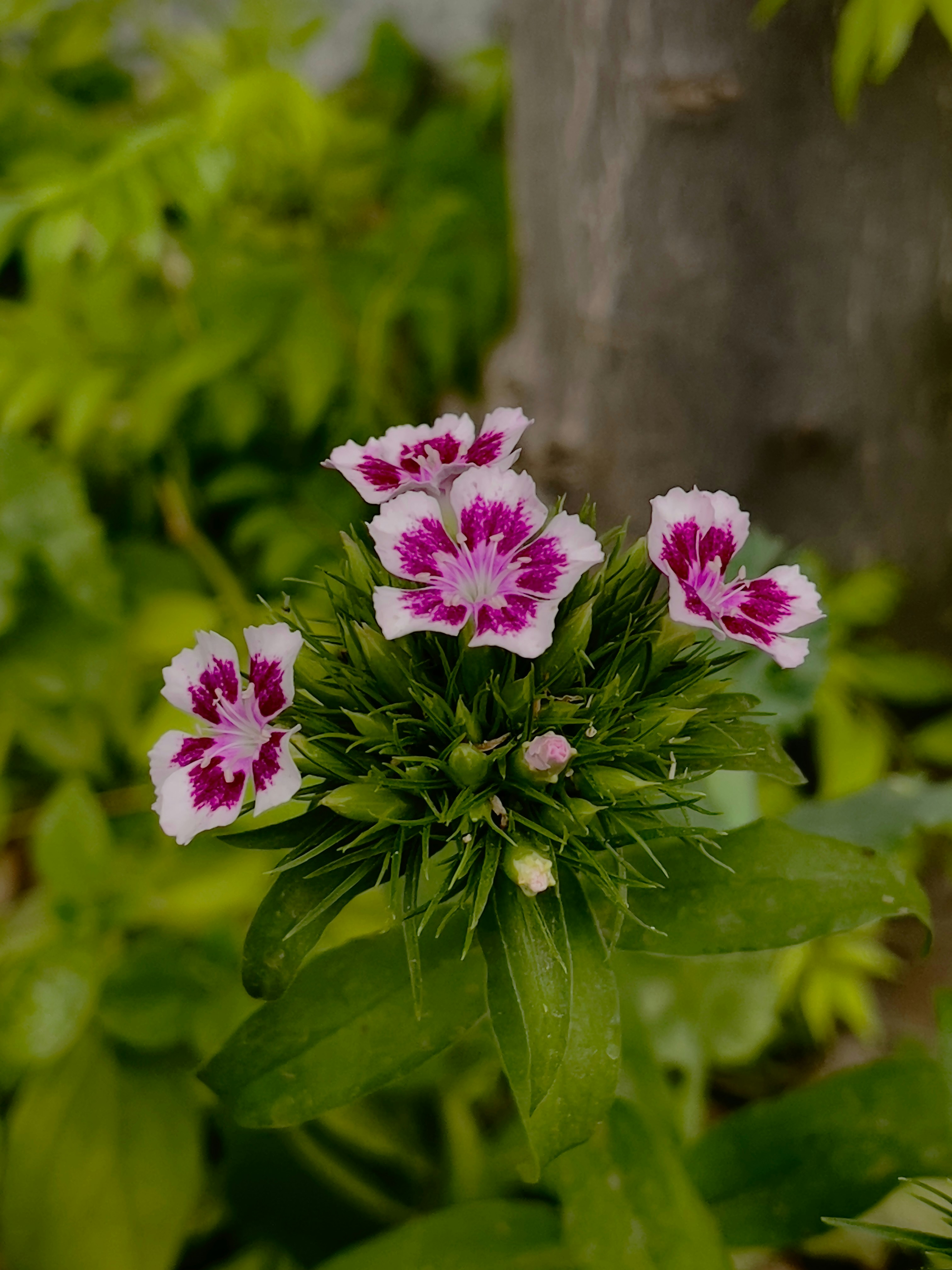 Photo by sahibjot_sivia