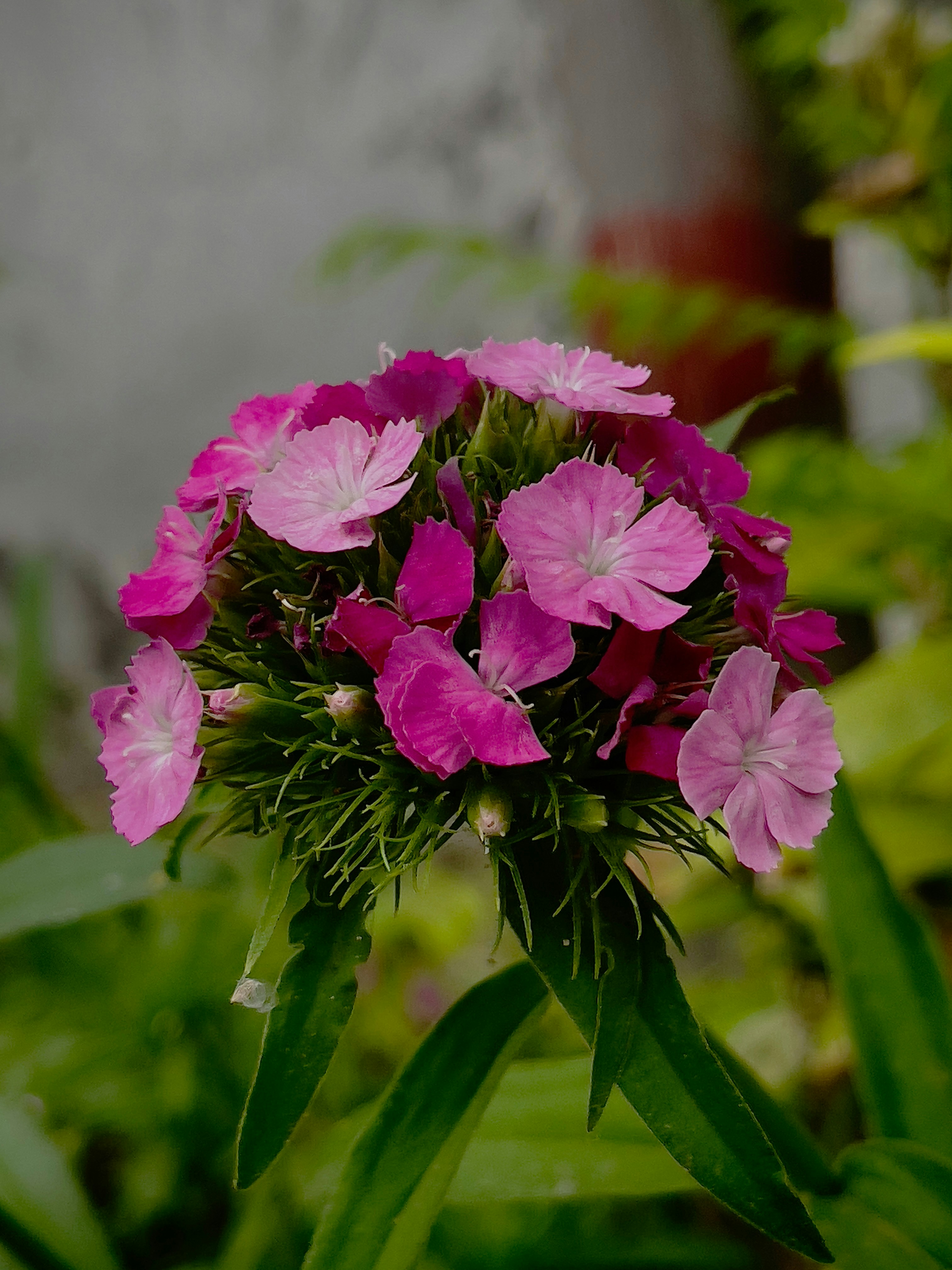 Photo by sahibjot_sivia