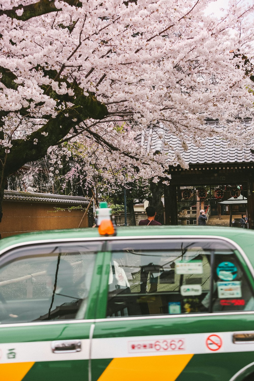 a green taxi cab driving past a cherry blossom tree