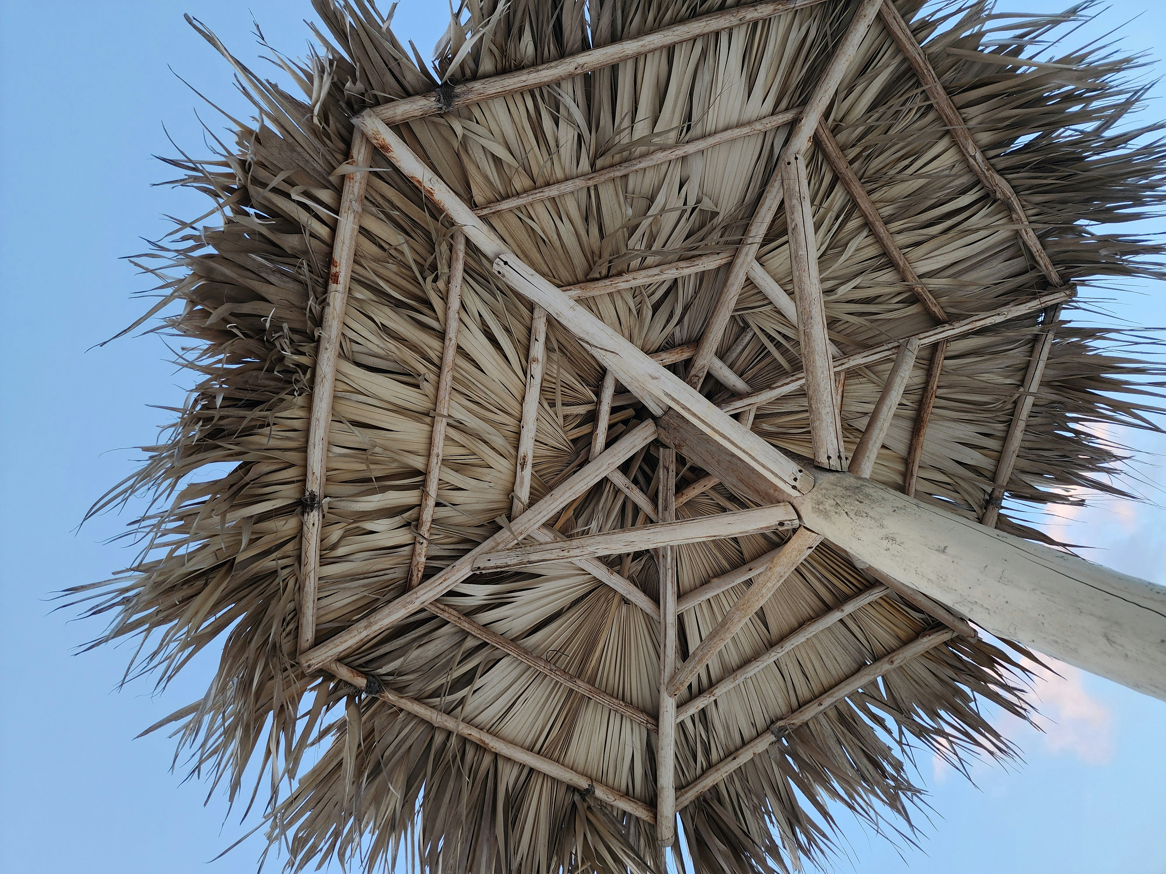 Photo by harindranvikram