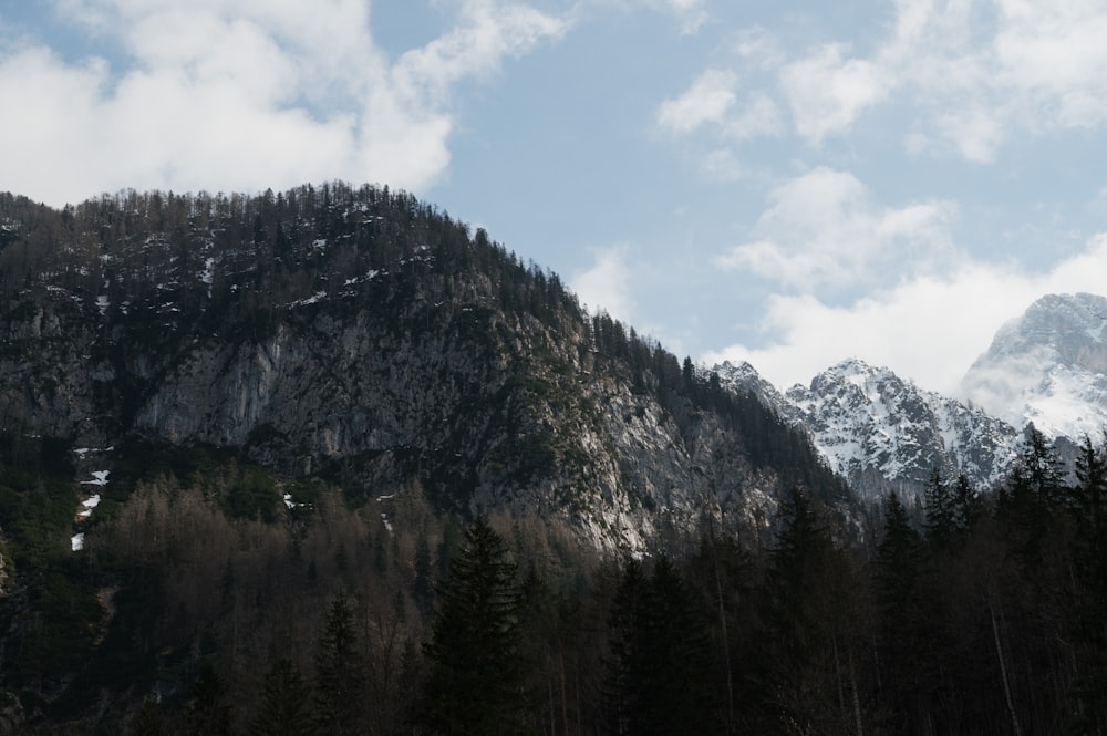 a snow covered mountain with trees in the foreground