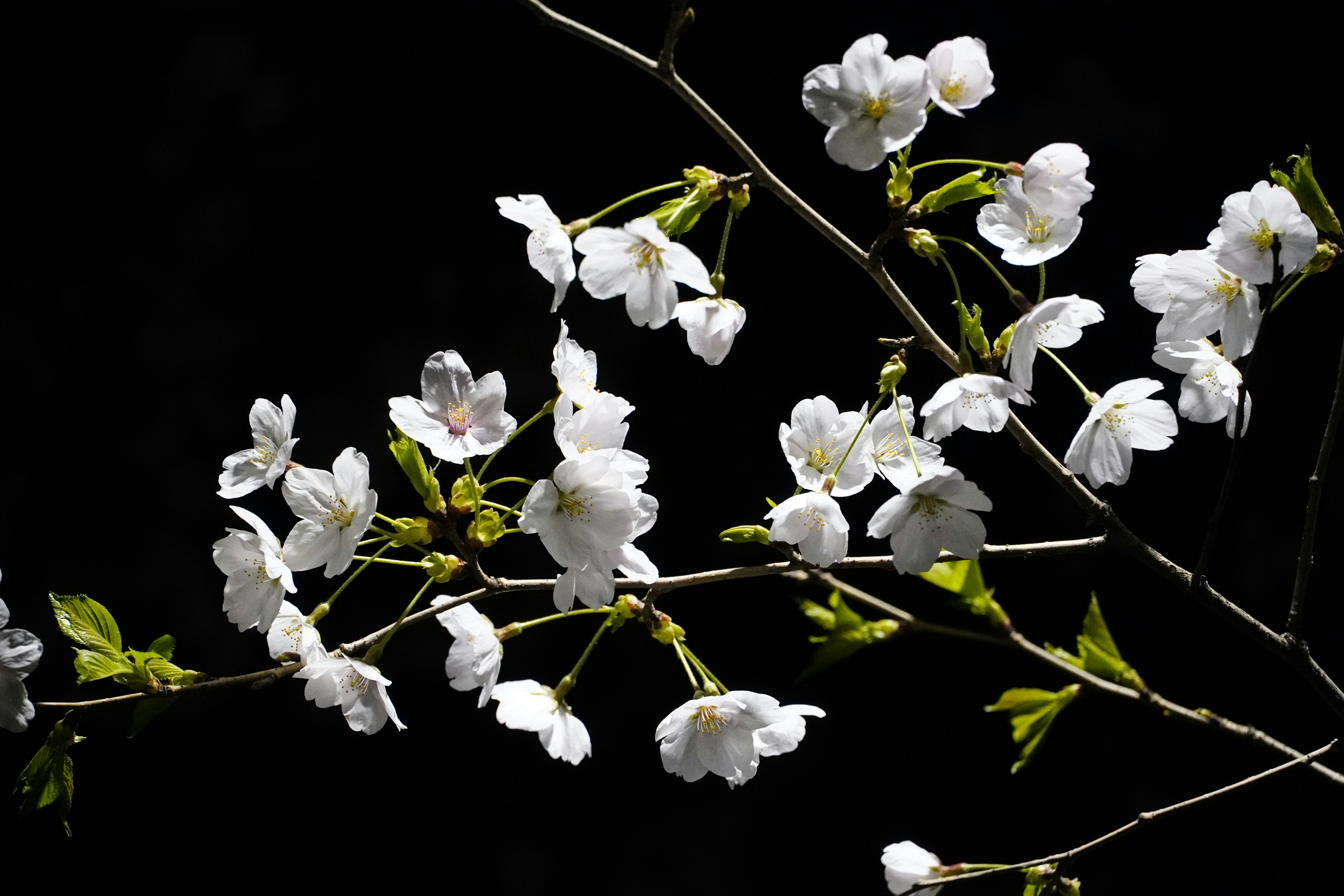 Photo by lifeinkorea