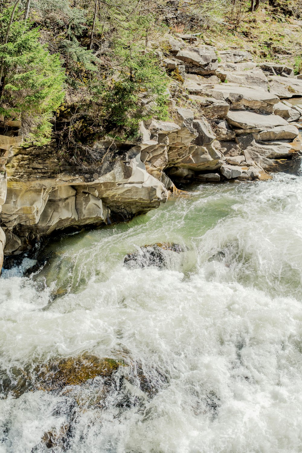 a man standing on a rock next to a river