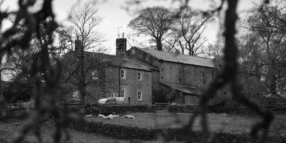 a black and white photo of a farm house