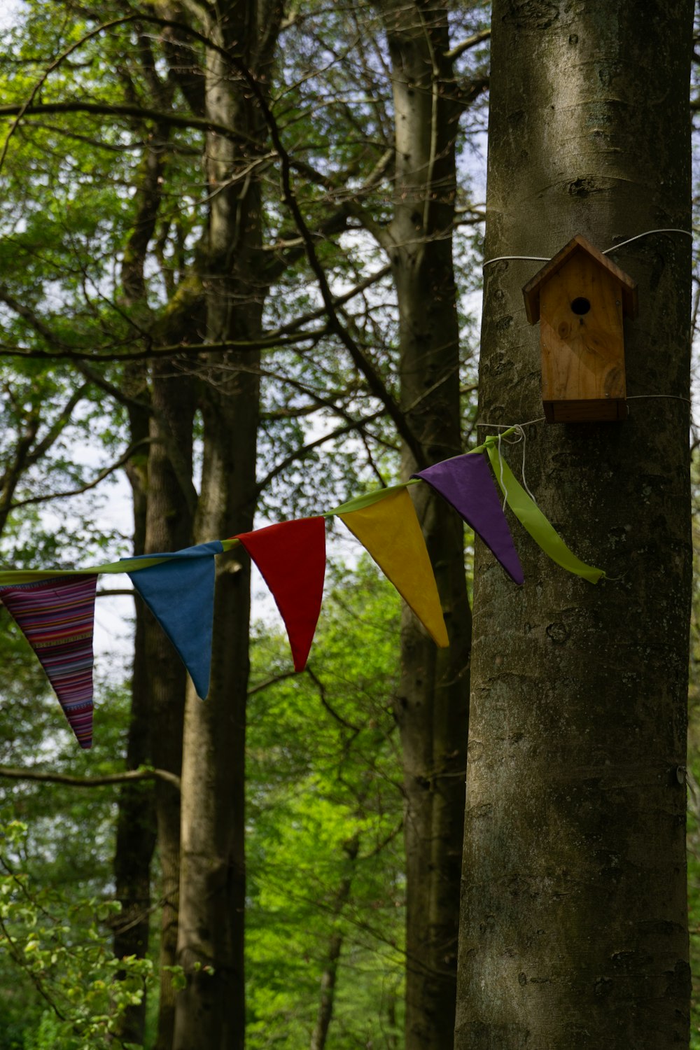 a birdhouse hanging from a tree in a forest