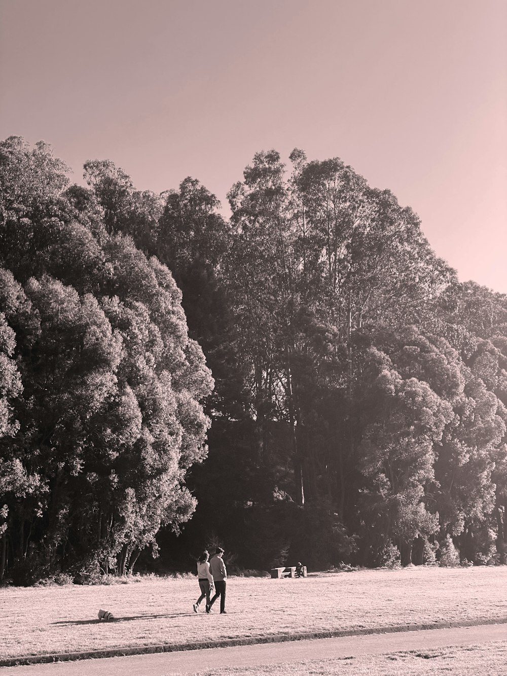 a couple of people that are standing in the grass