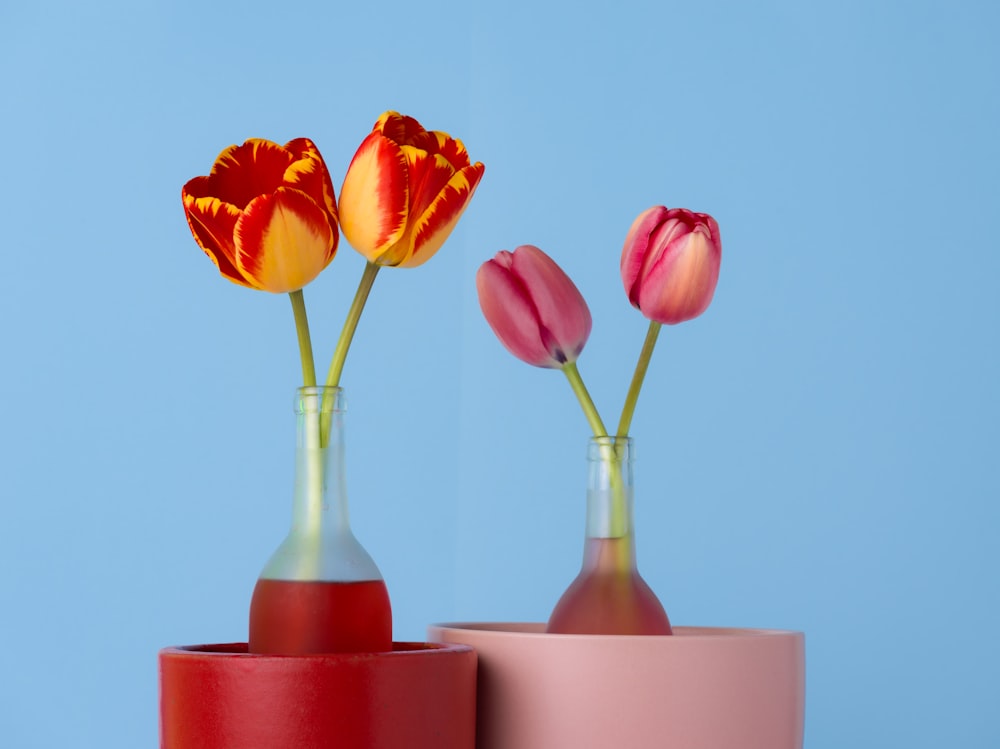 a couple of vases that have flowers in them