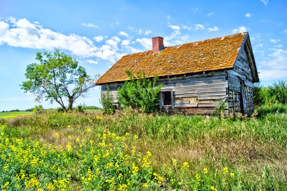 an old abandoned house in a field of wildflowers