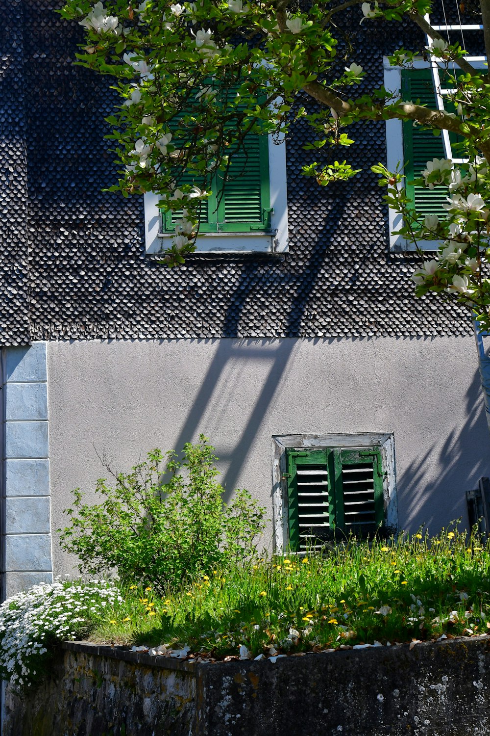 a building with green shutters and a tree in front of it