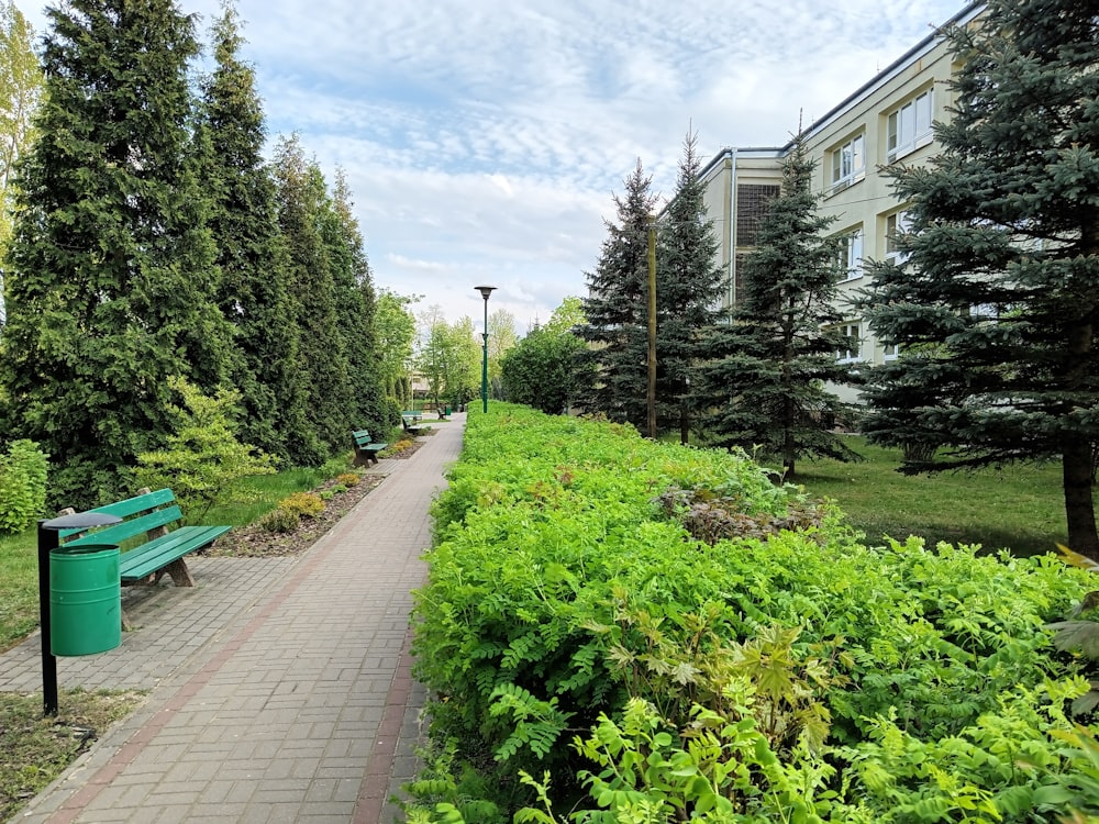 a sidewalk with a green bench next to a row of trees