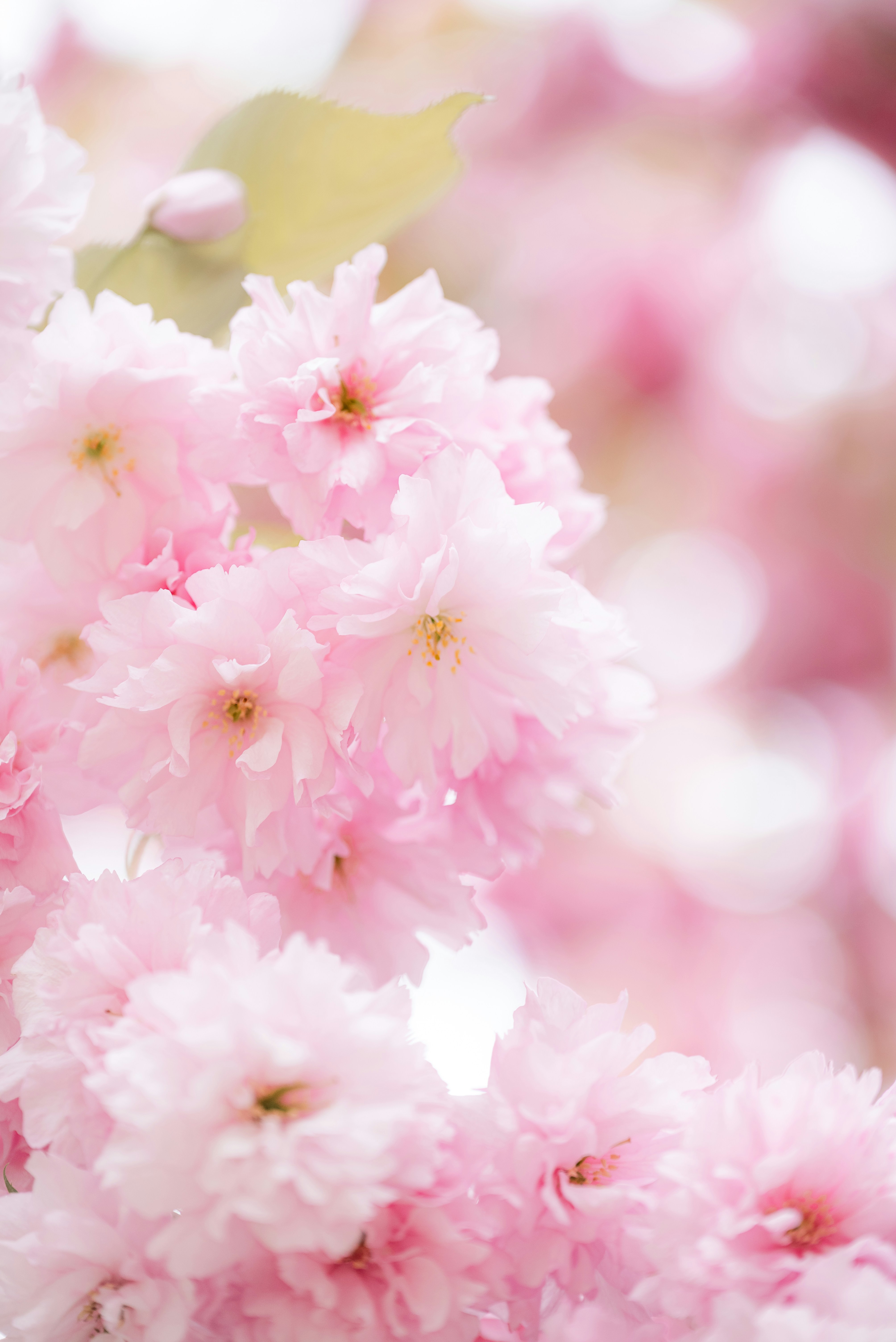 Photo by jetztabertempo