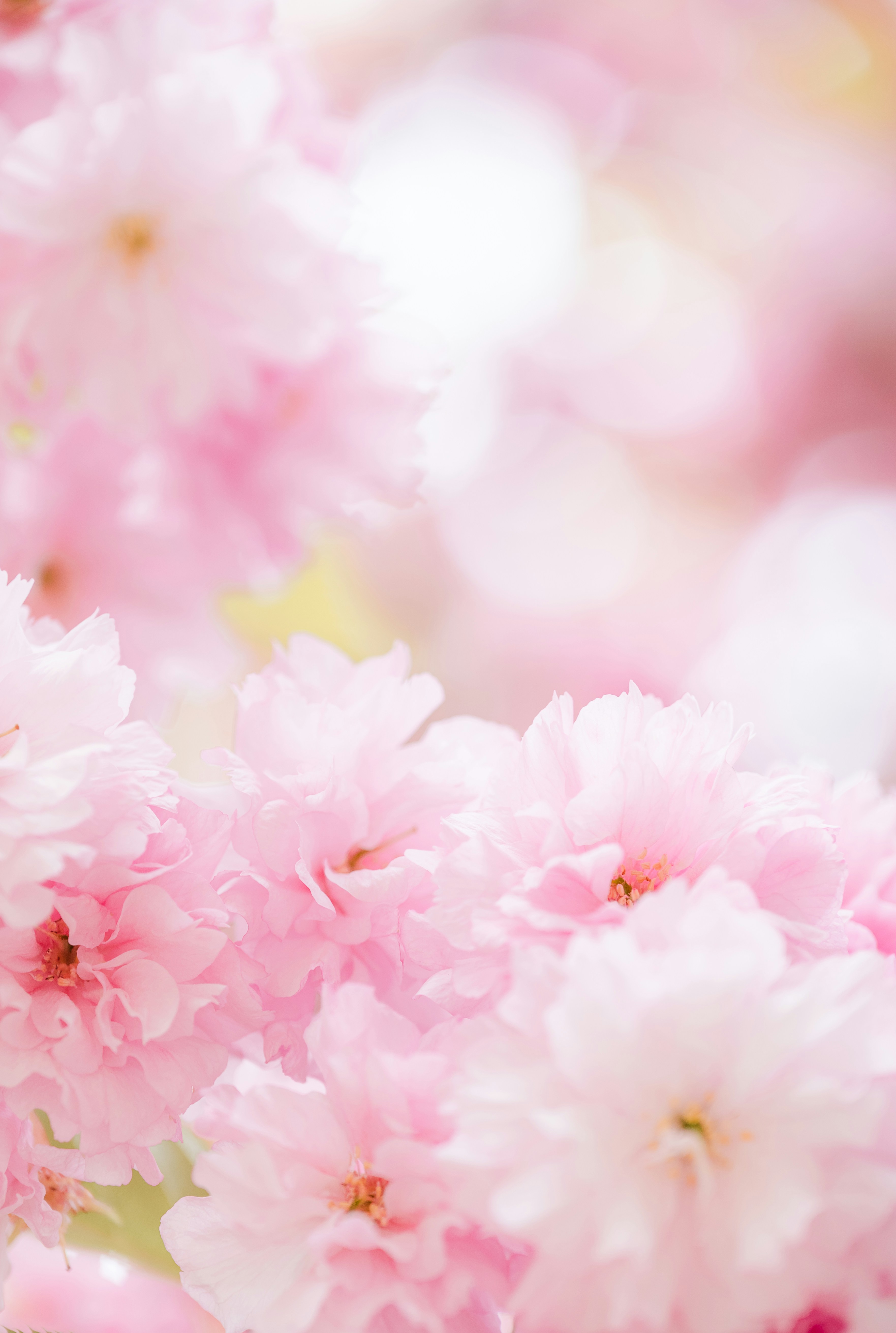 Photo by jetztabertempo