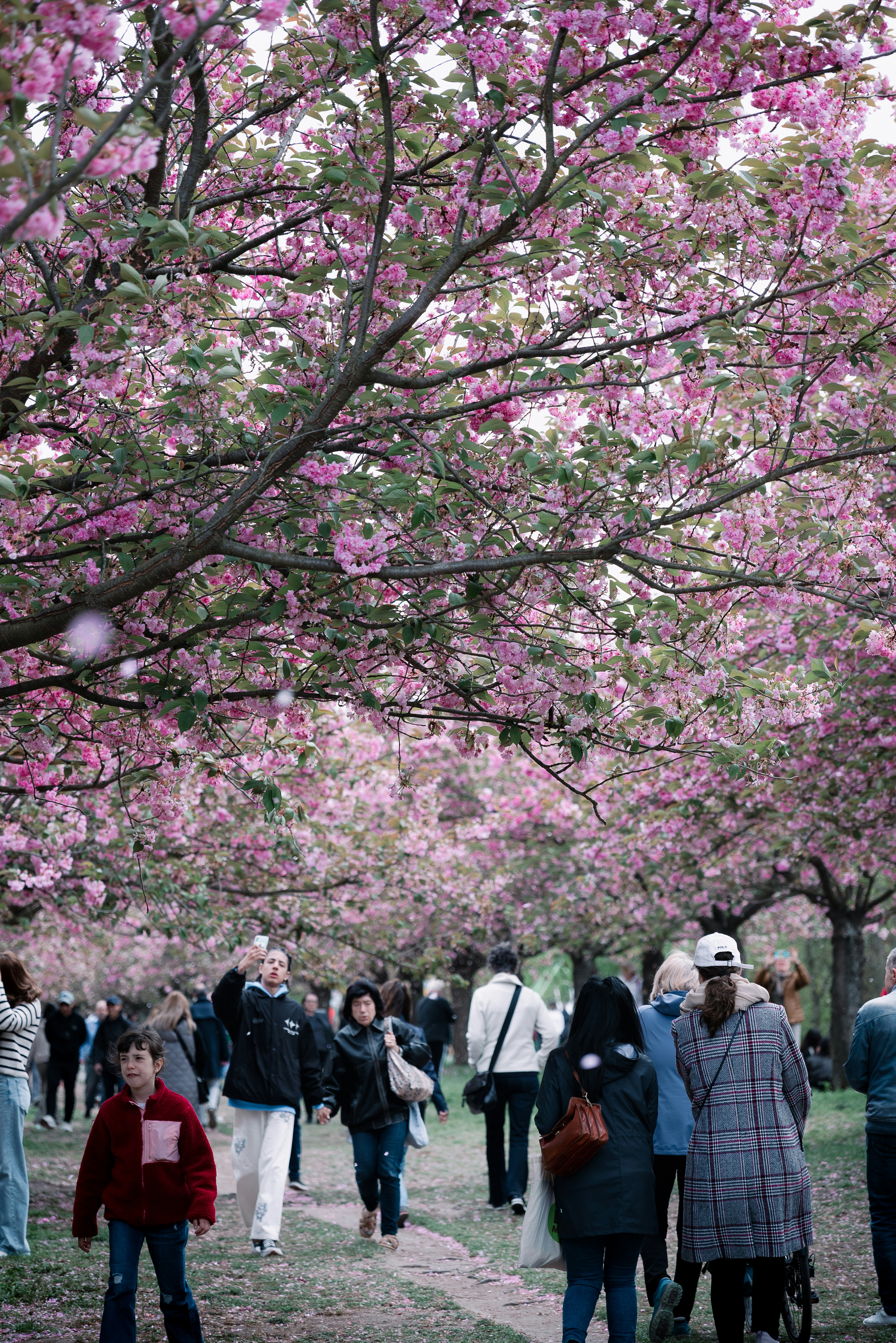 Photo by jetztabertempo