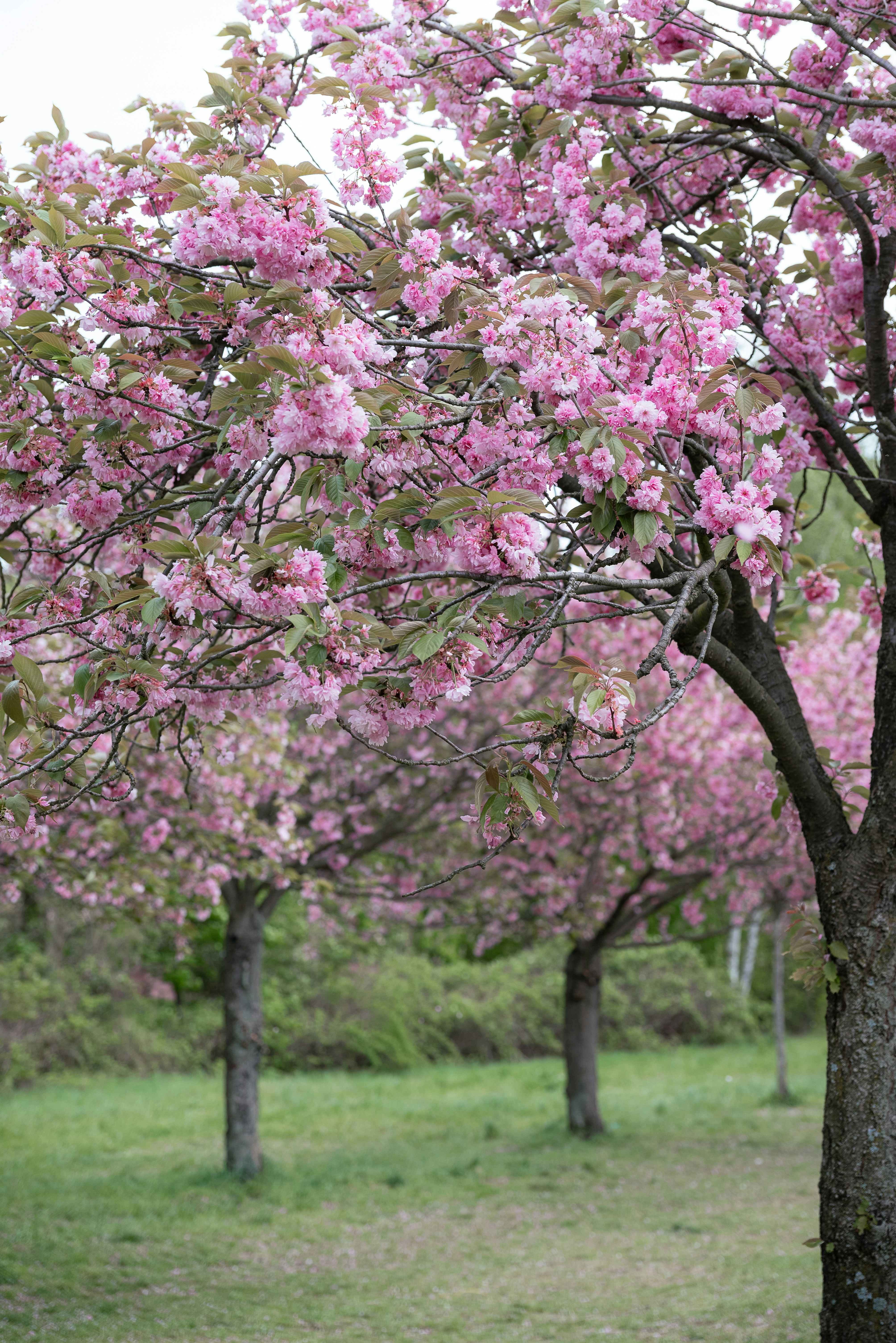 Photo by jetztabertempo