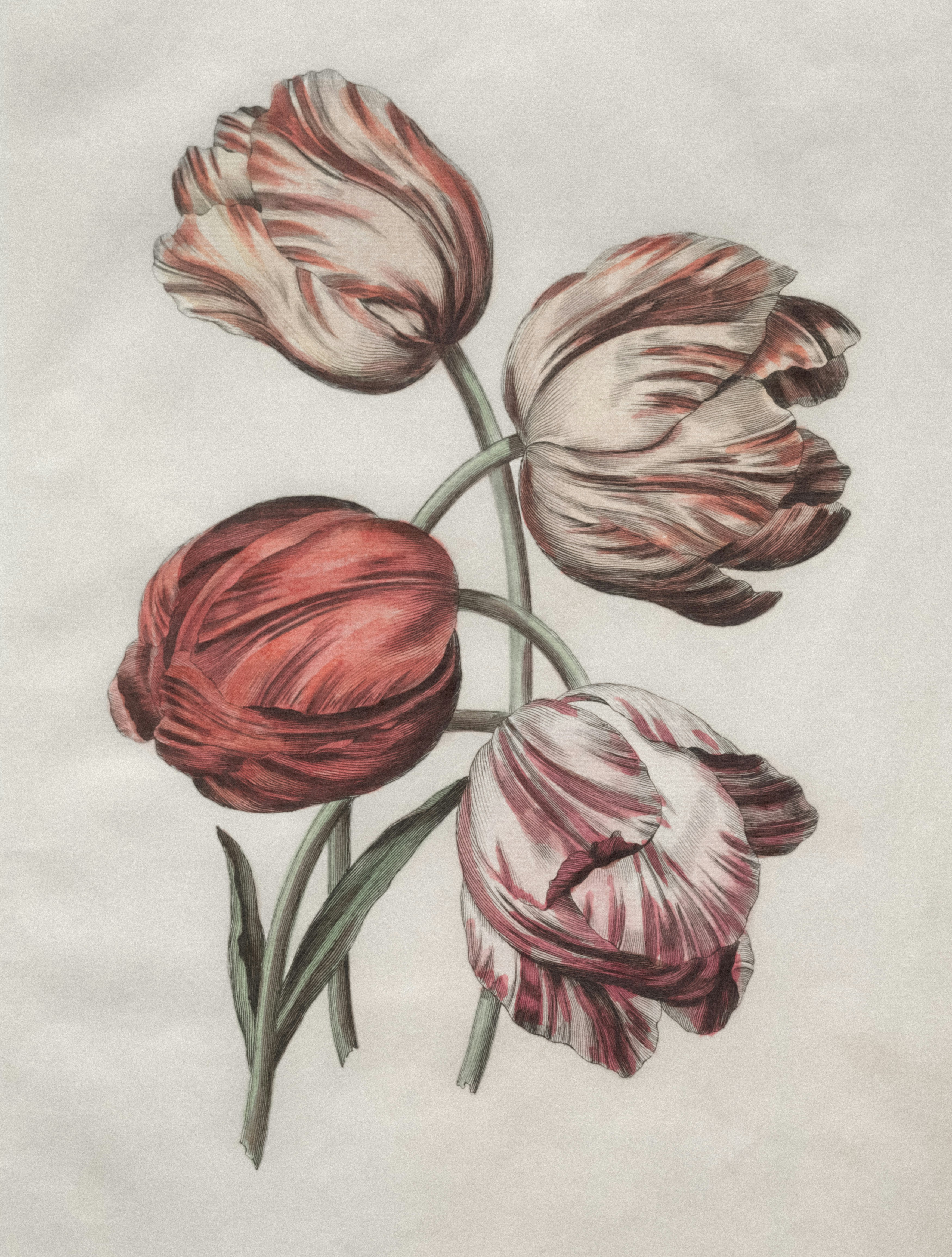 Photo by clevelandart