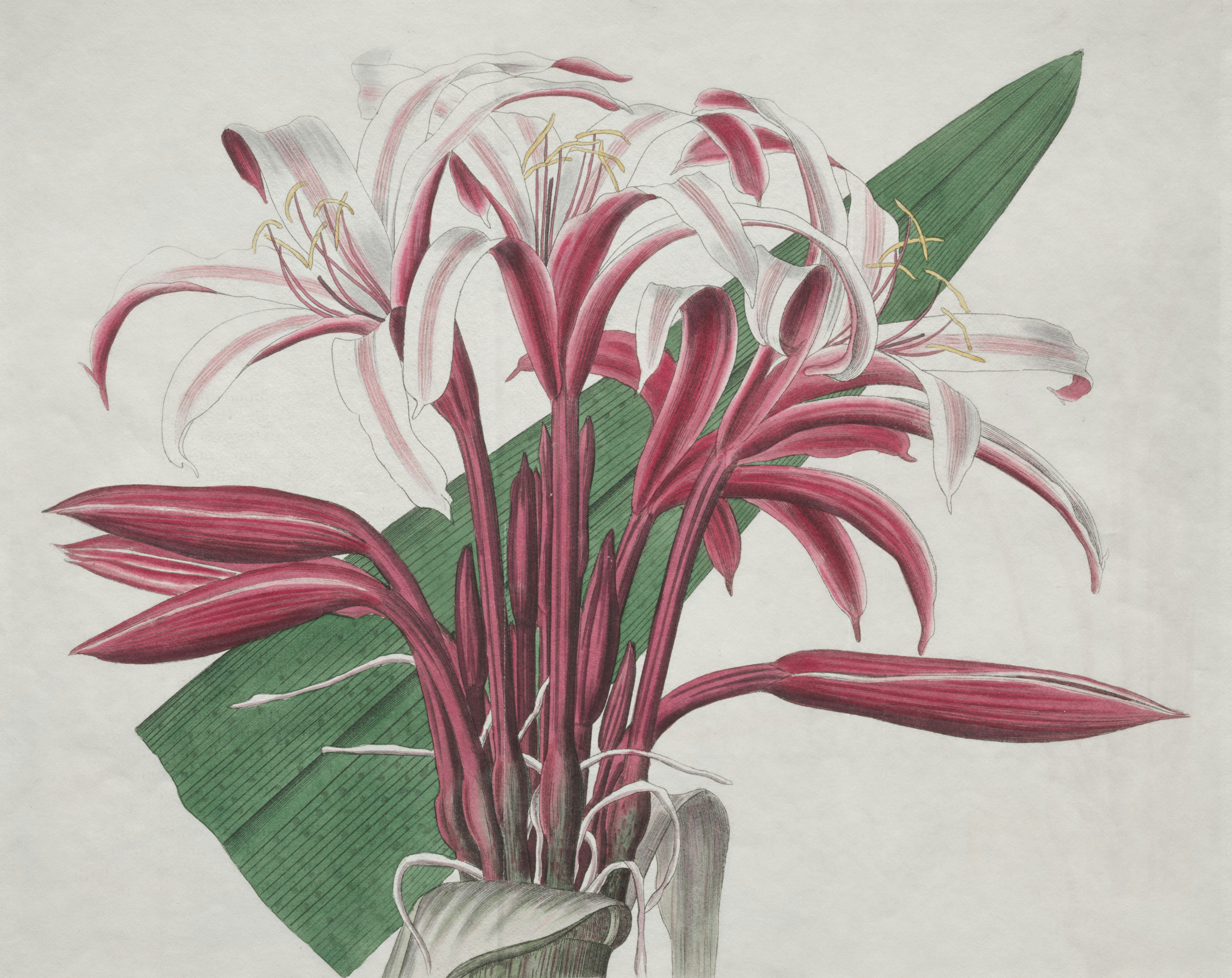 Photo by clevelandart