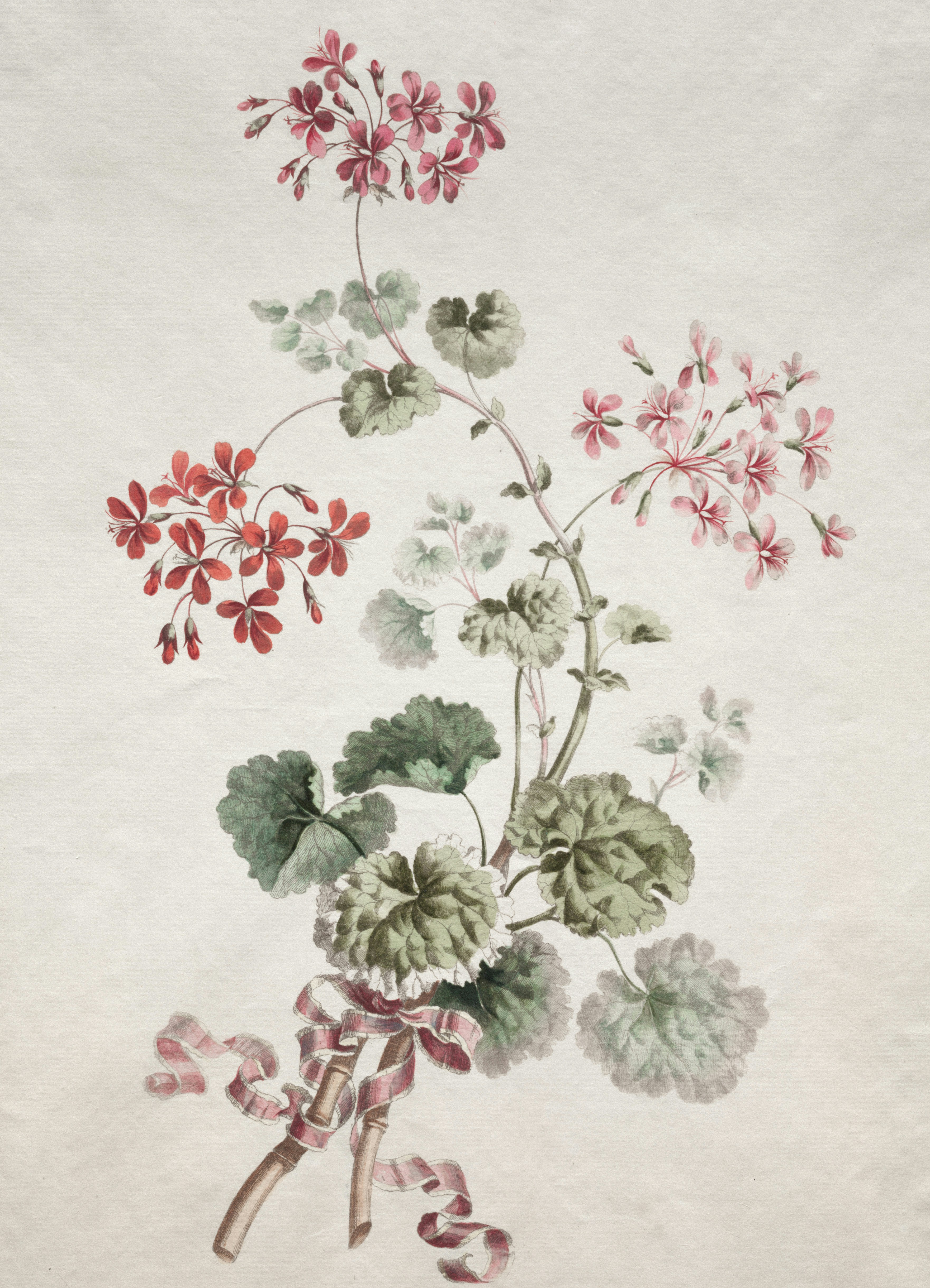 Photo by clevelandart