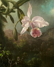 a painting of a white flower on a tree branch