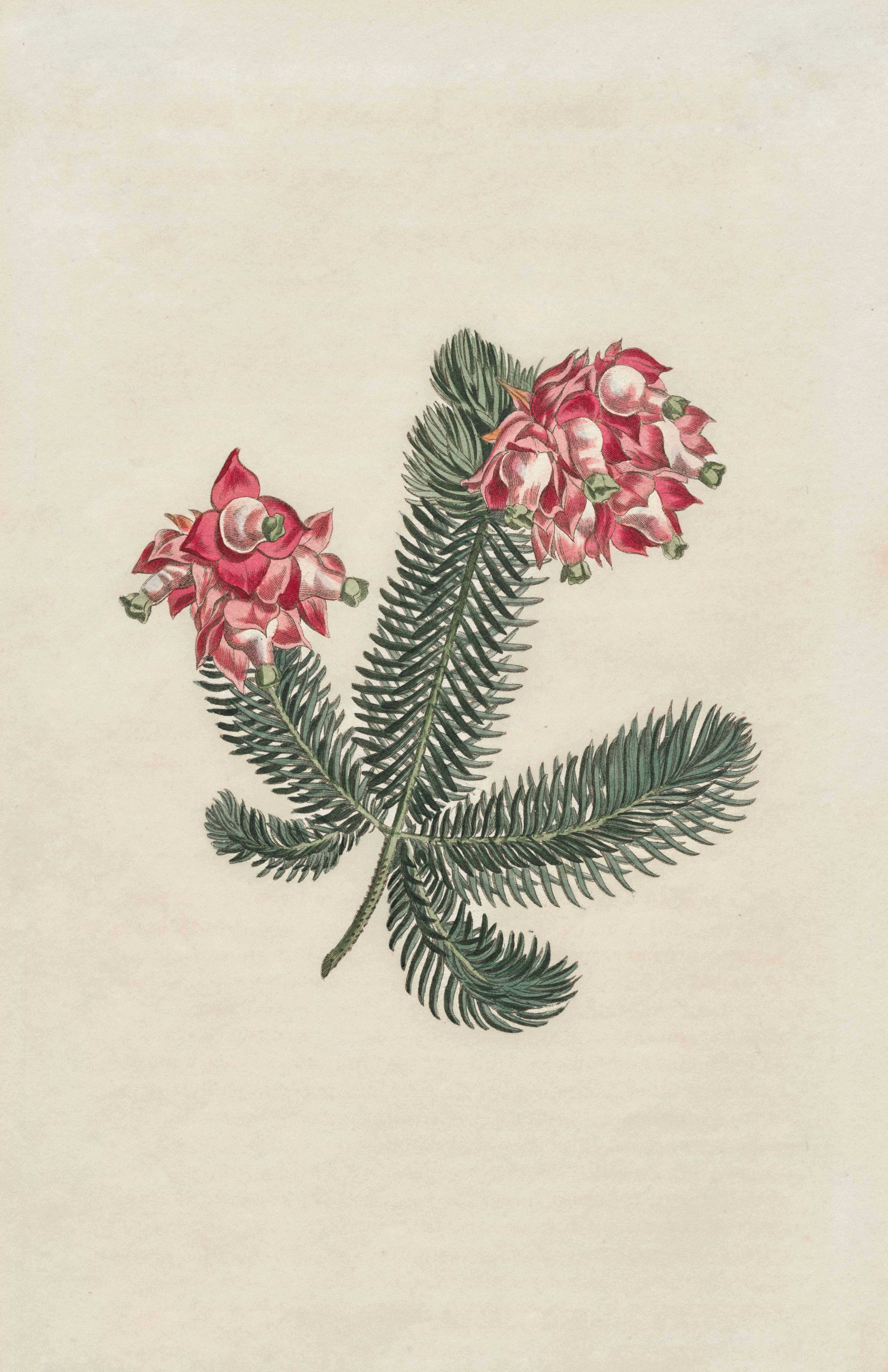 Photo by clevelandart